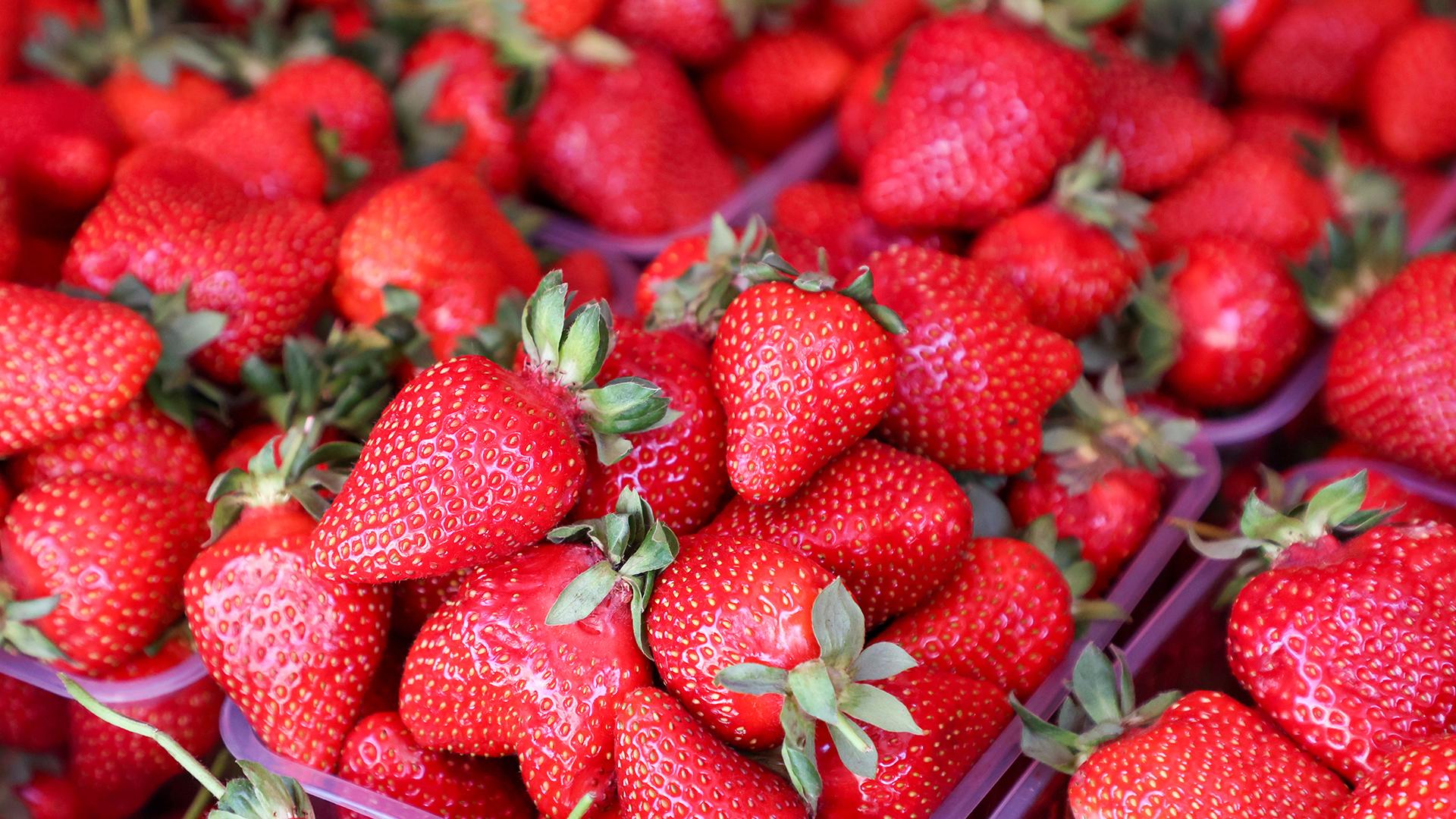 Фото: Belkin Alexey/globallookpress.com