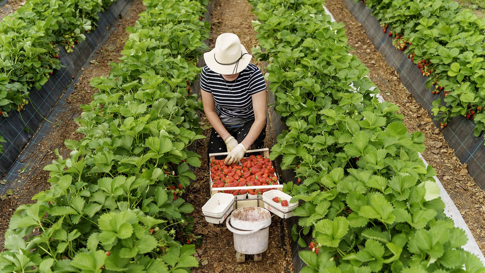 Фото: Andreas Arnold/globallookpress.com