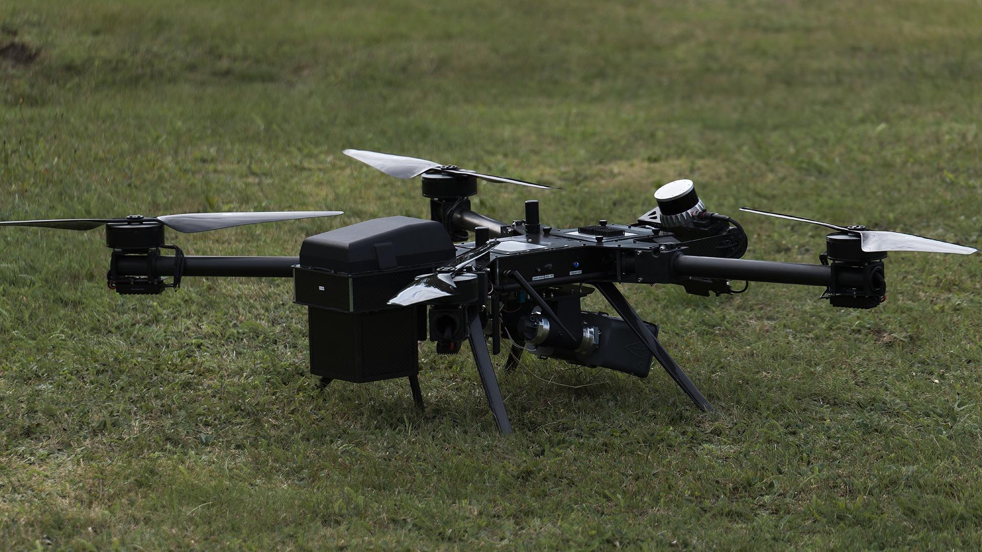 Фото: Marcus Golejewski/globallookpress.com