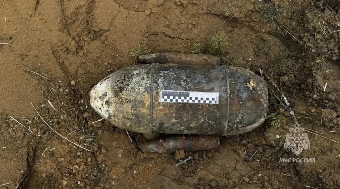 Фото: пресс-служба ГУ МЧС России по Ленобласти