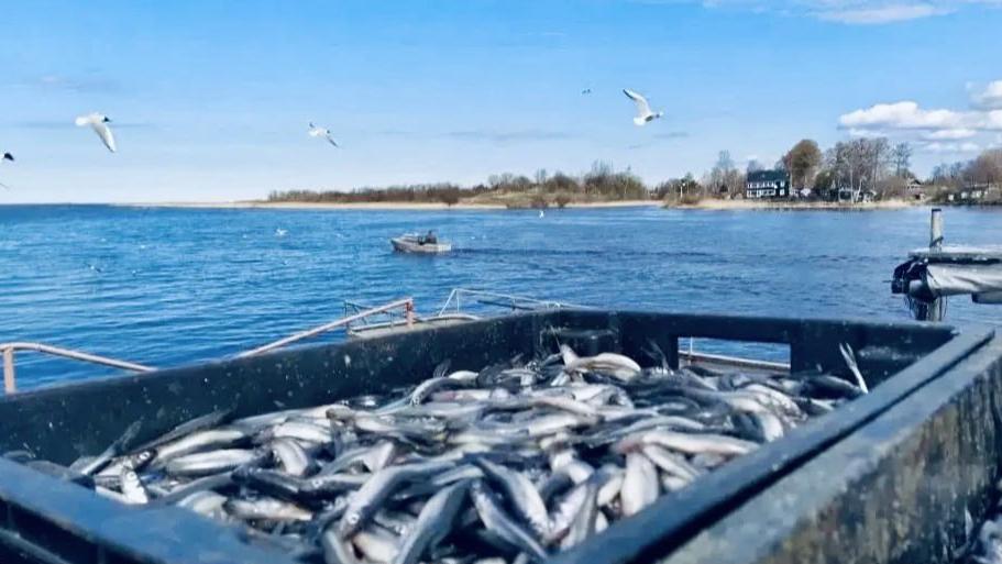 Фото: t.me/drozdenko_au_lo