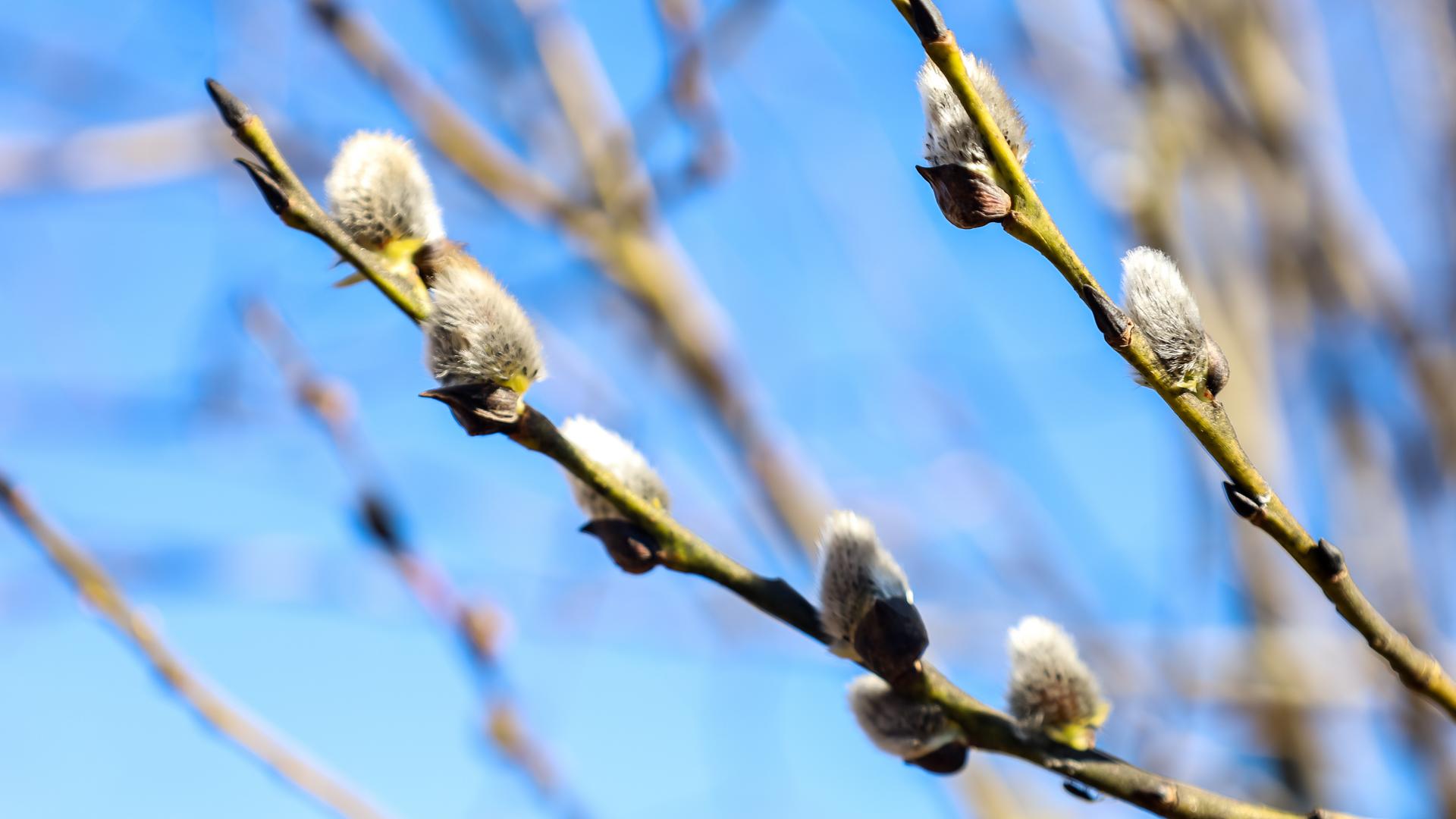 Фото: Elena Mayorova/Global Look Press