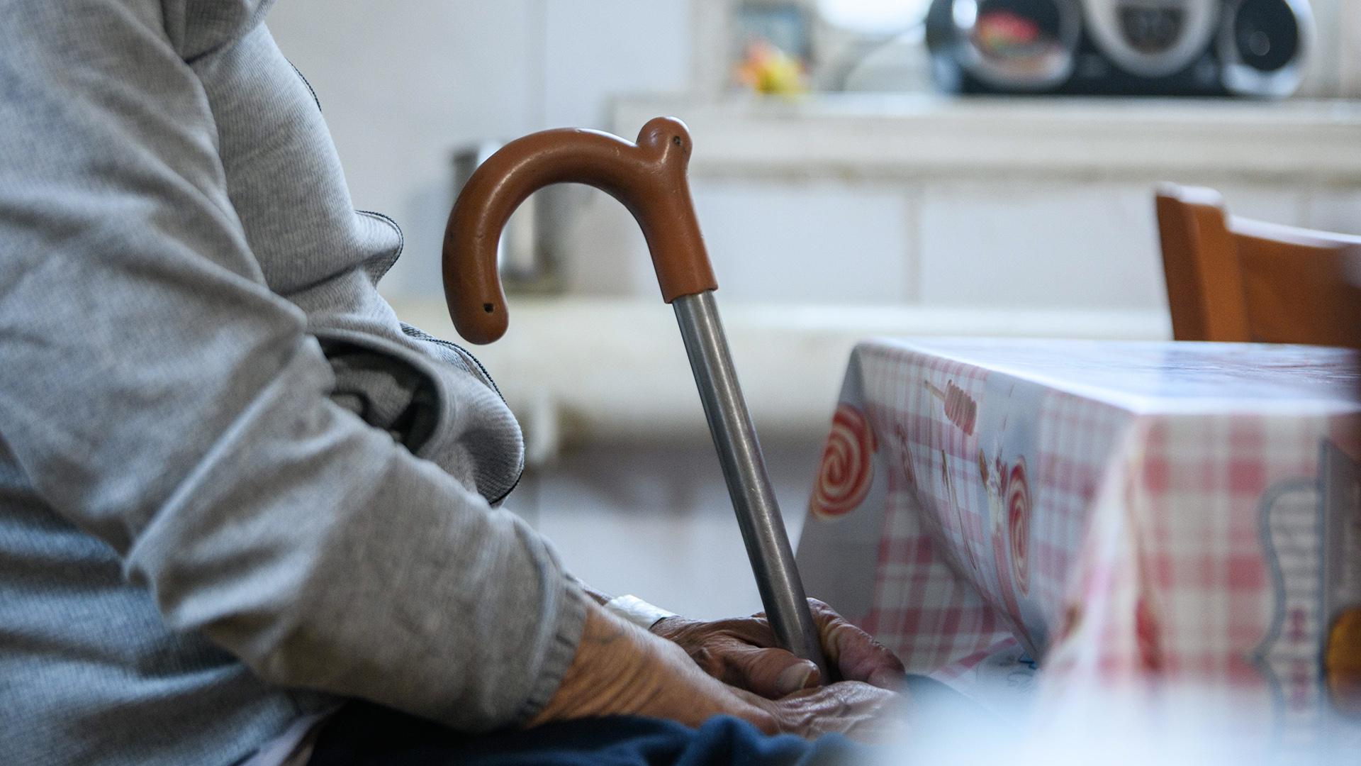 Фото: Ilya Moskovets/globallookpress.com