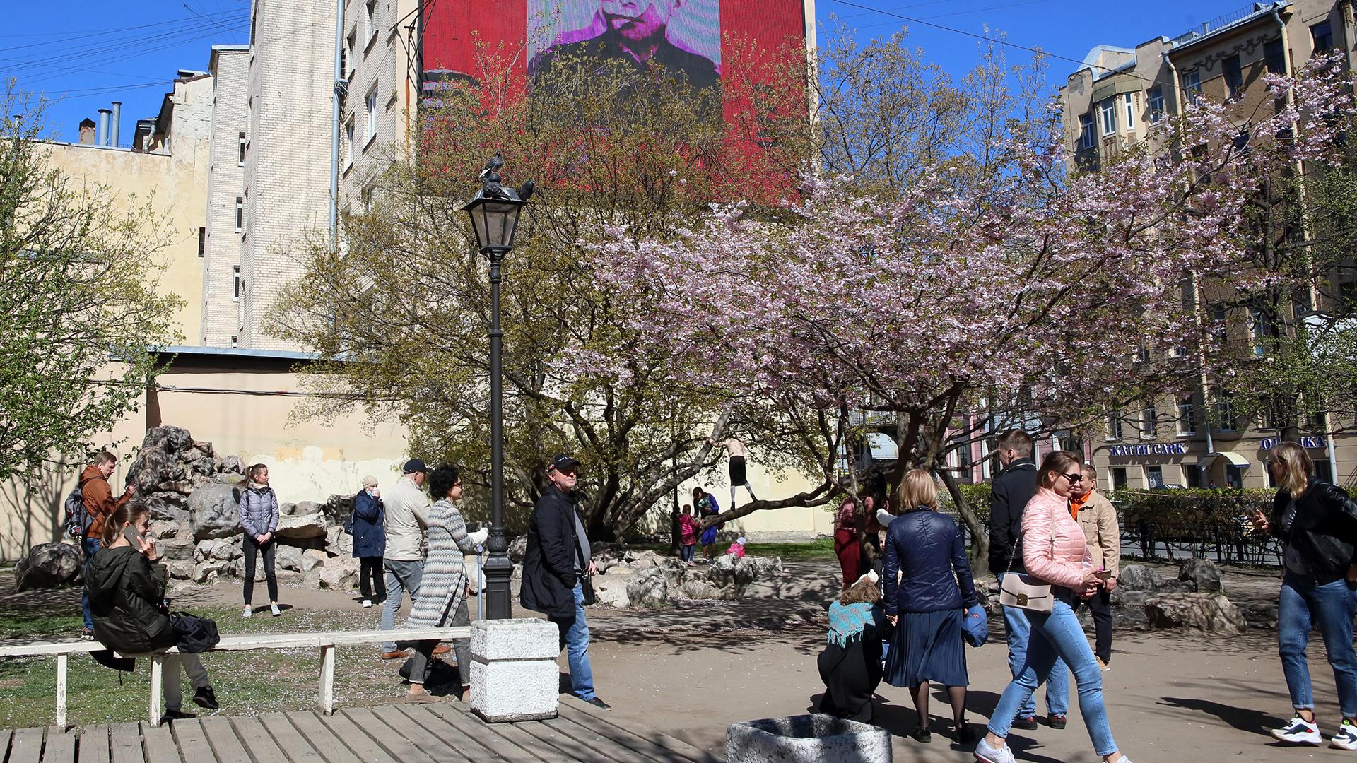 Фото: Zamir Usmanov/globallookpress.com