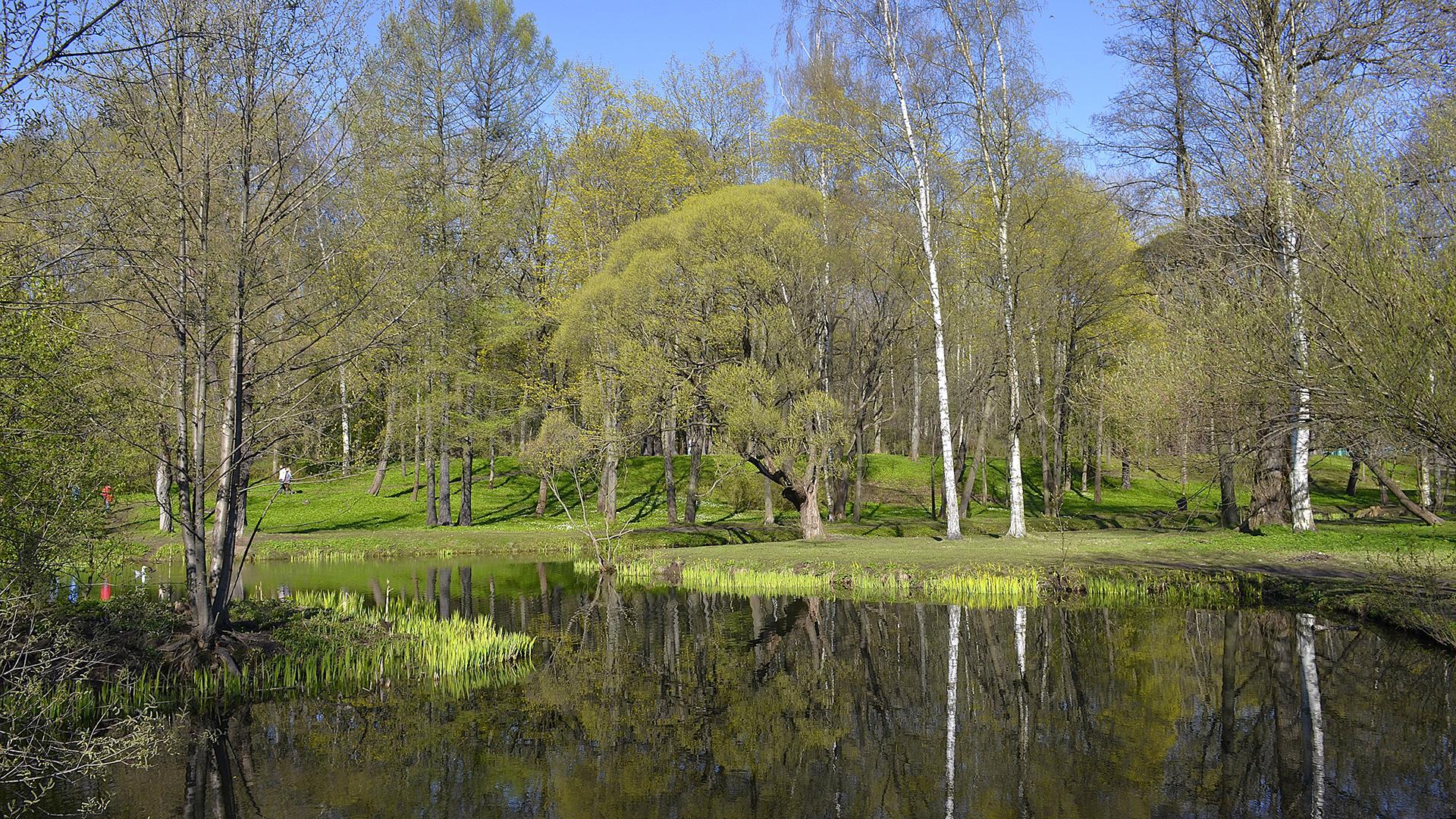 Фото: wikimedia.org/Александровы АГ; CC BY-SA 4.0