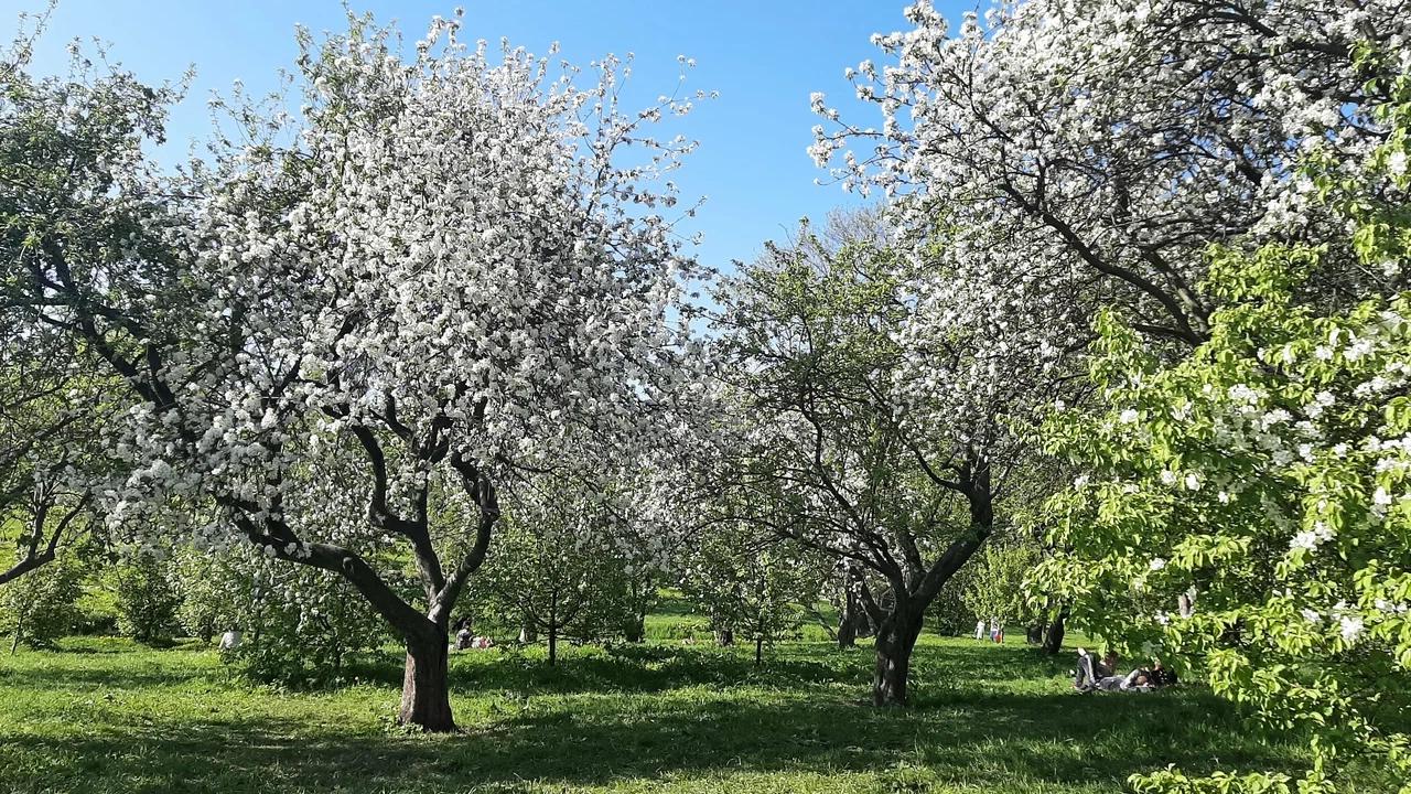 Фото: yandex.ru/maps/Мария Иркитова