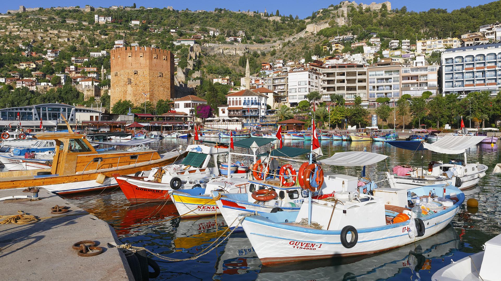 Фото: Martin Siepmann/globallookpress.com