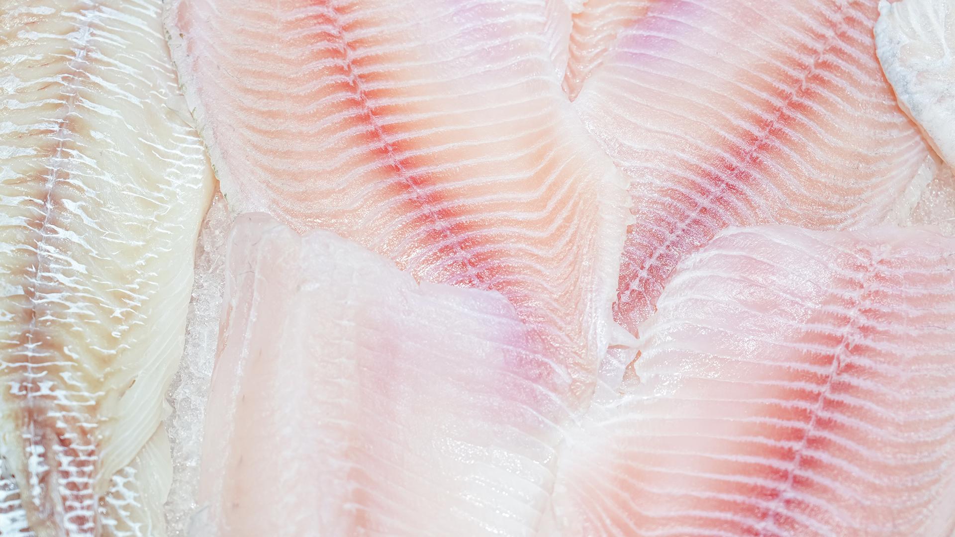 Фото: ИЗВЕСТИЯ/Эдуард Корниенко