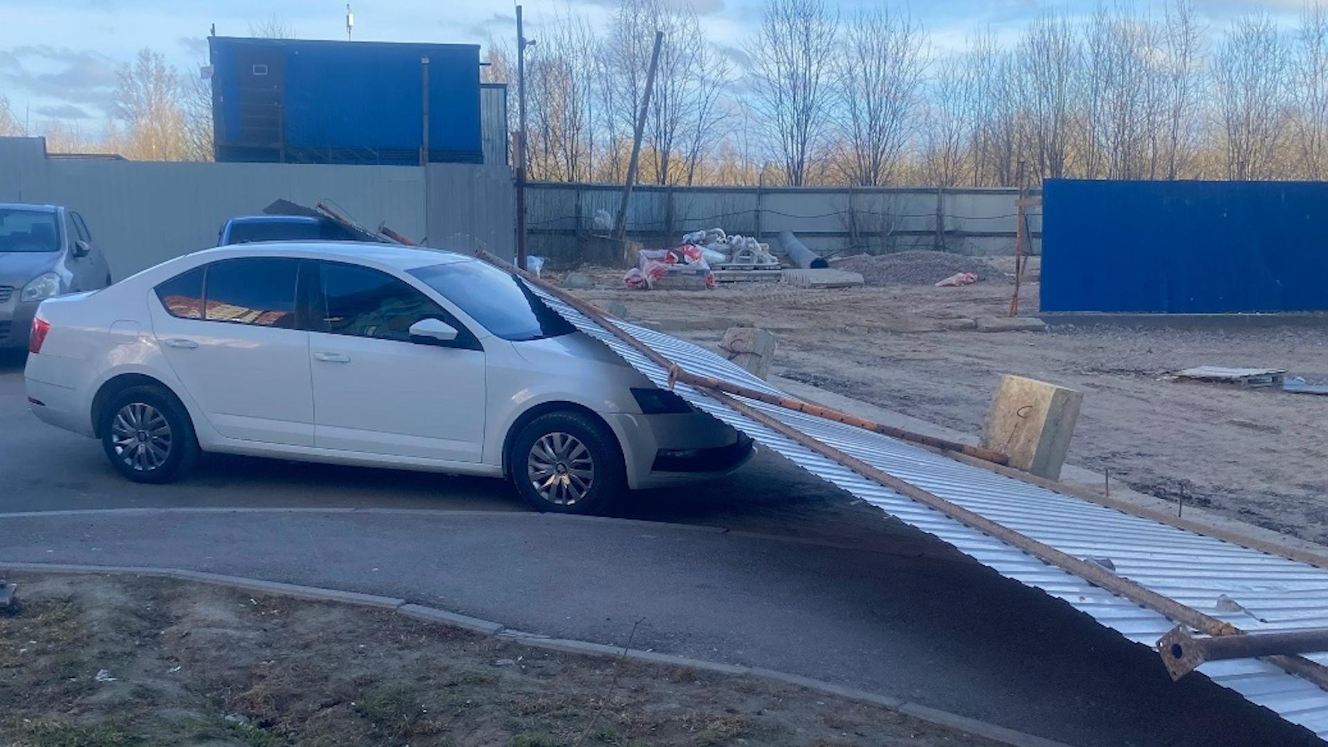 Фото: vk.com/drozdenko_au