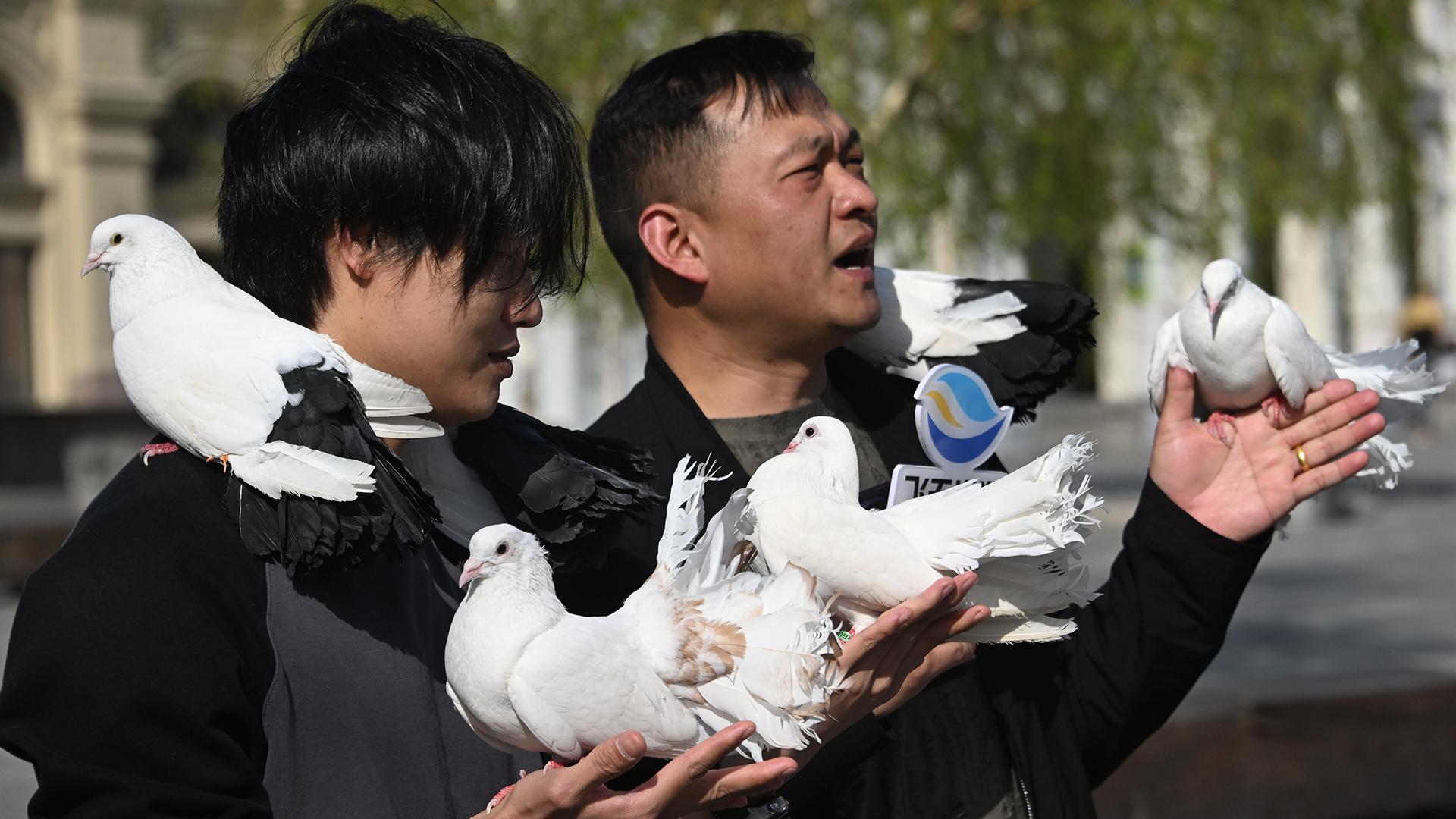Фото: Komsomolskaya Pravda/globallookpress.com
