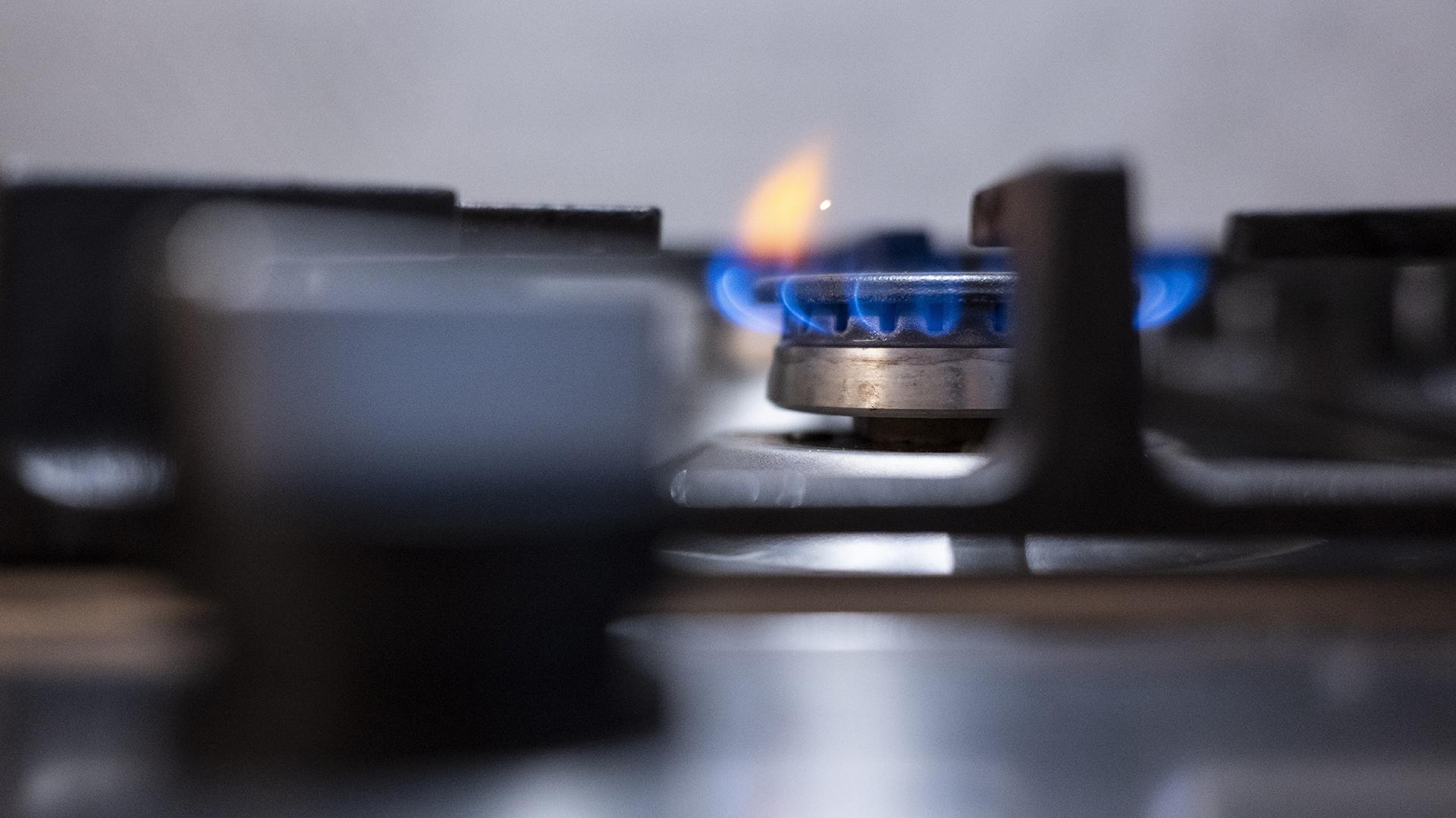 Фото: Marijan Murat/globallookpress.com