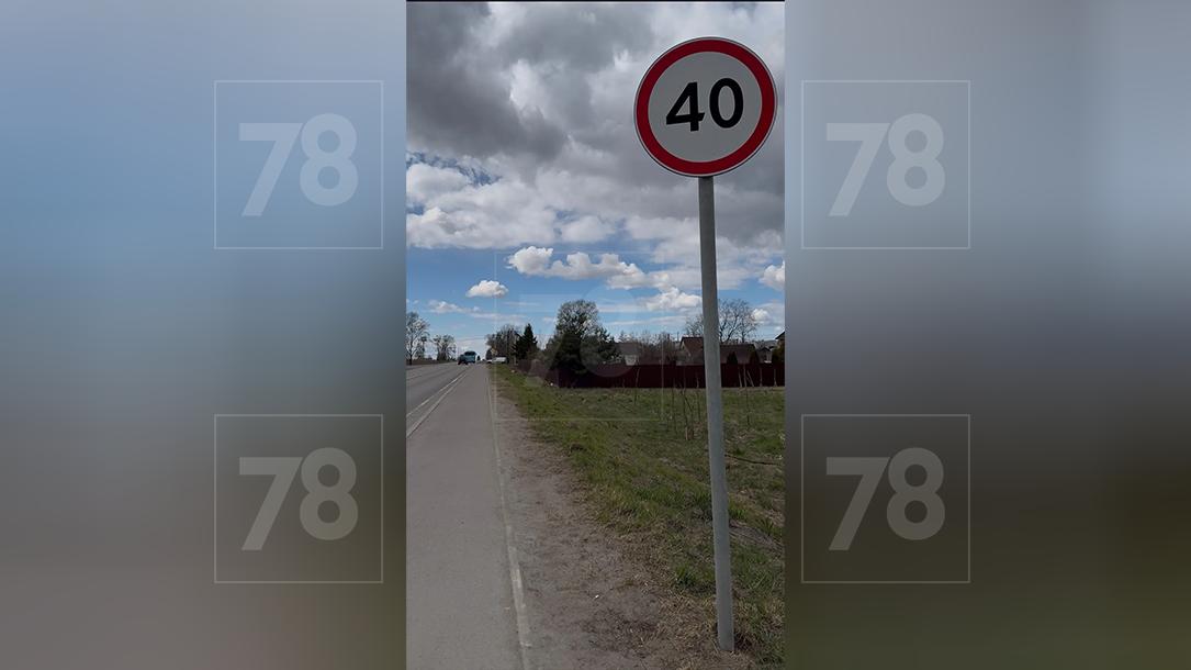 Фото: 78.ru