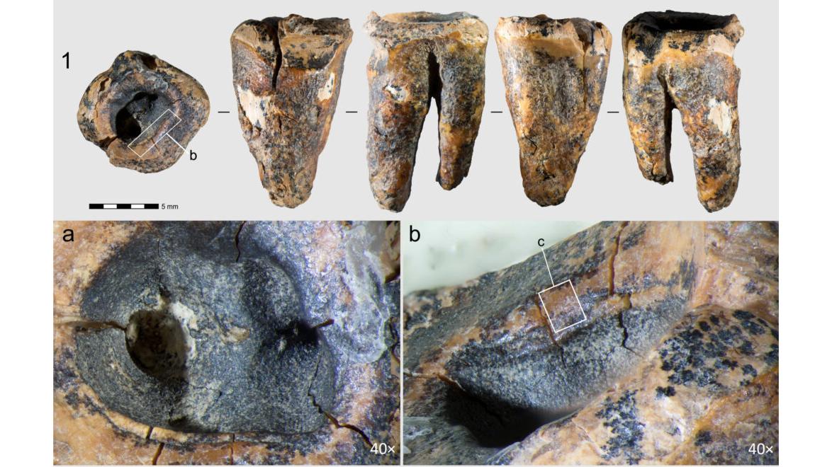 Фото: archaeology.nsc.ru