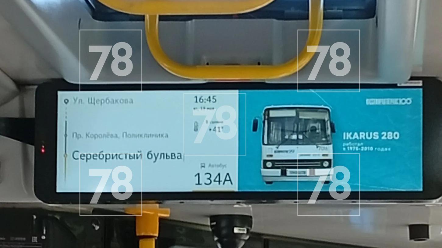 Фото: 78.ru