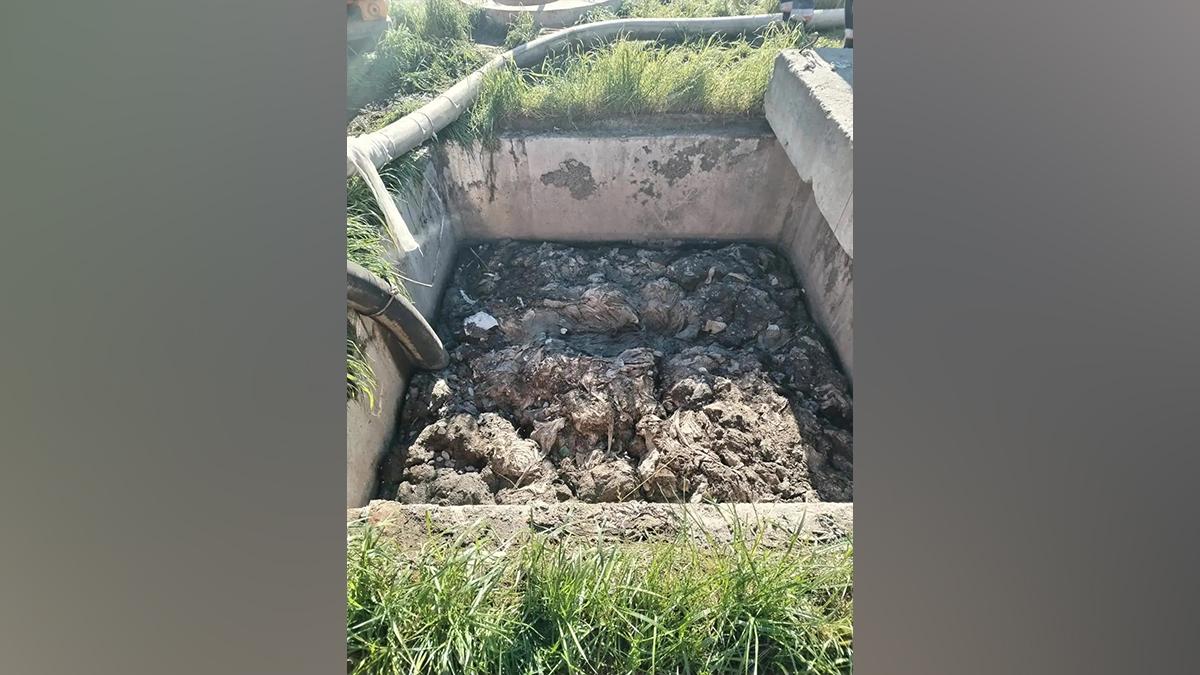 Фото: пресс-служба ГУП «Водоканал Санкт-Петербурга»