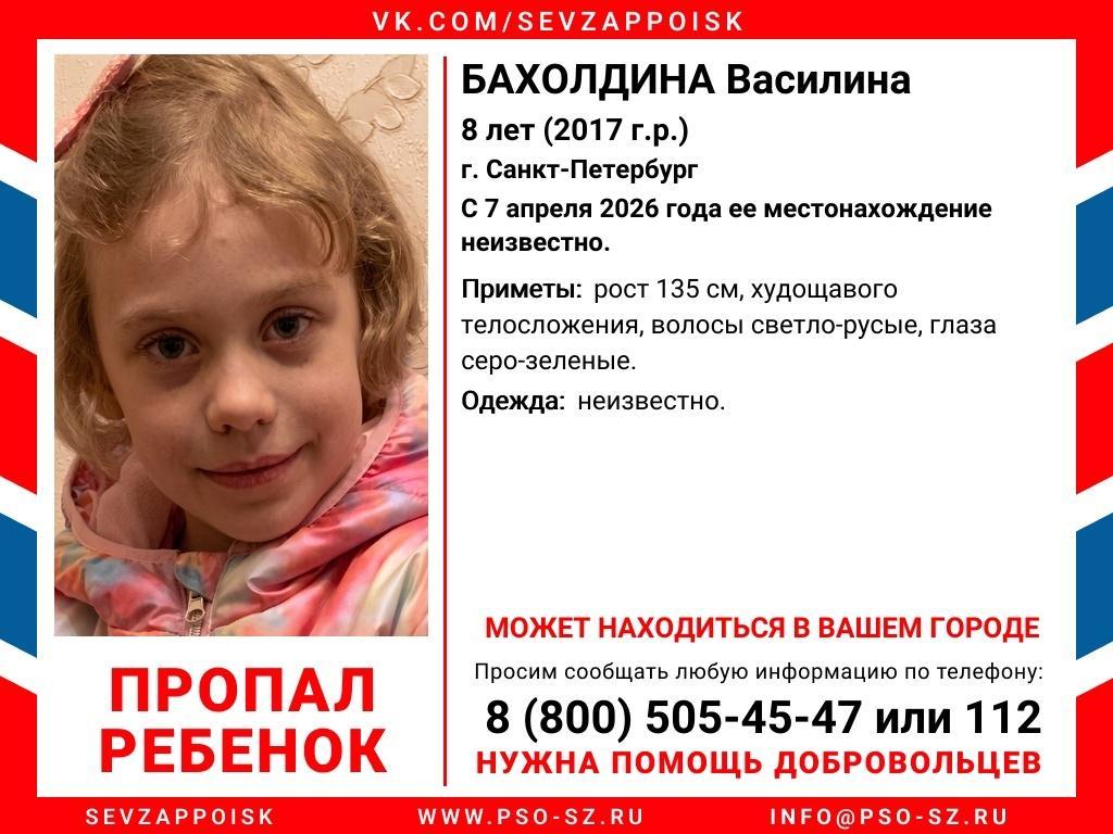 Фото: vk.ru/sevzappoisk