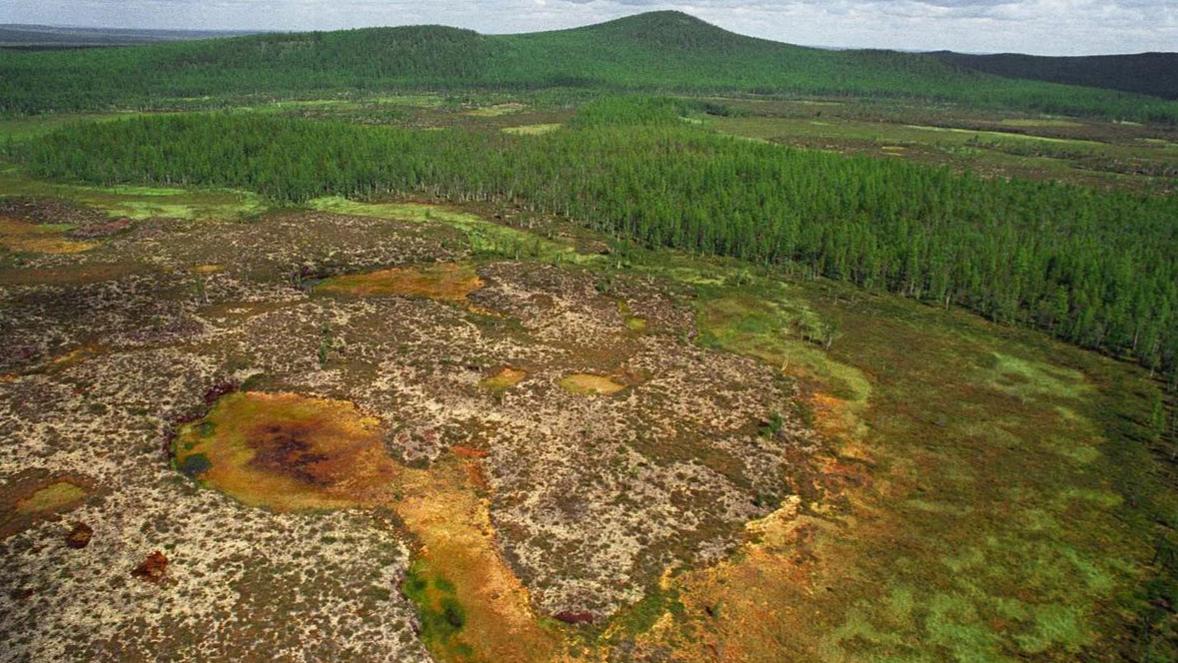 Фото: paleohunters.ru