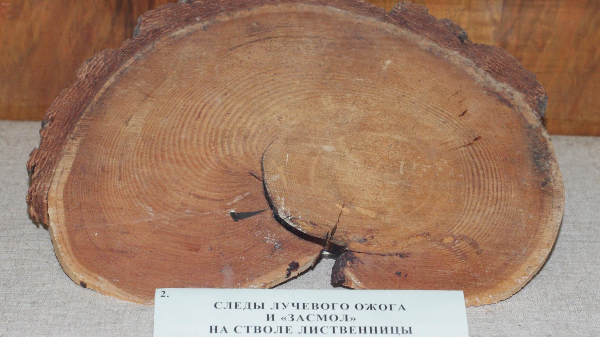 Фото: wikimedia.org/Artem Svetlov; CC BY 4.0