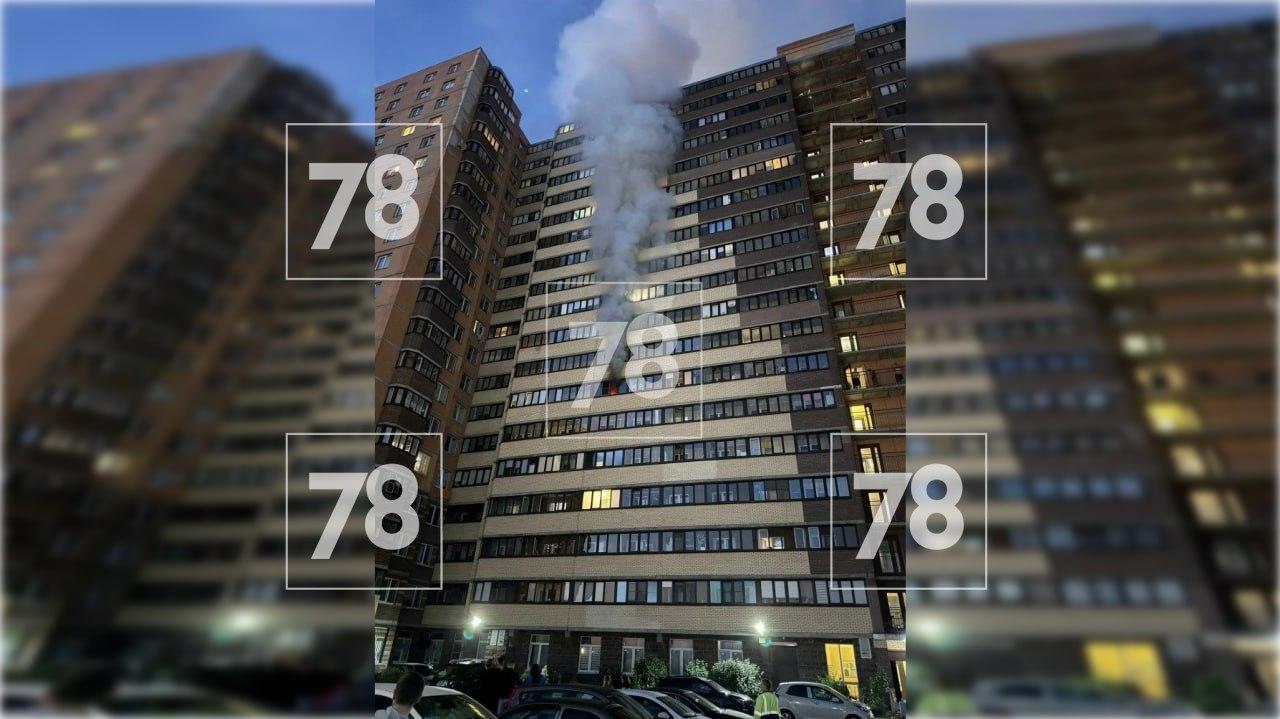 Фото: 78.ru 