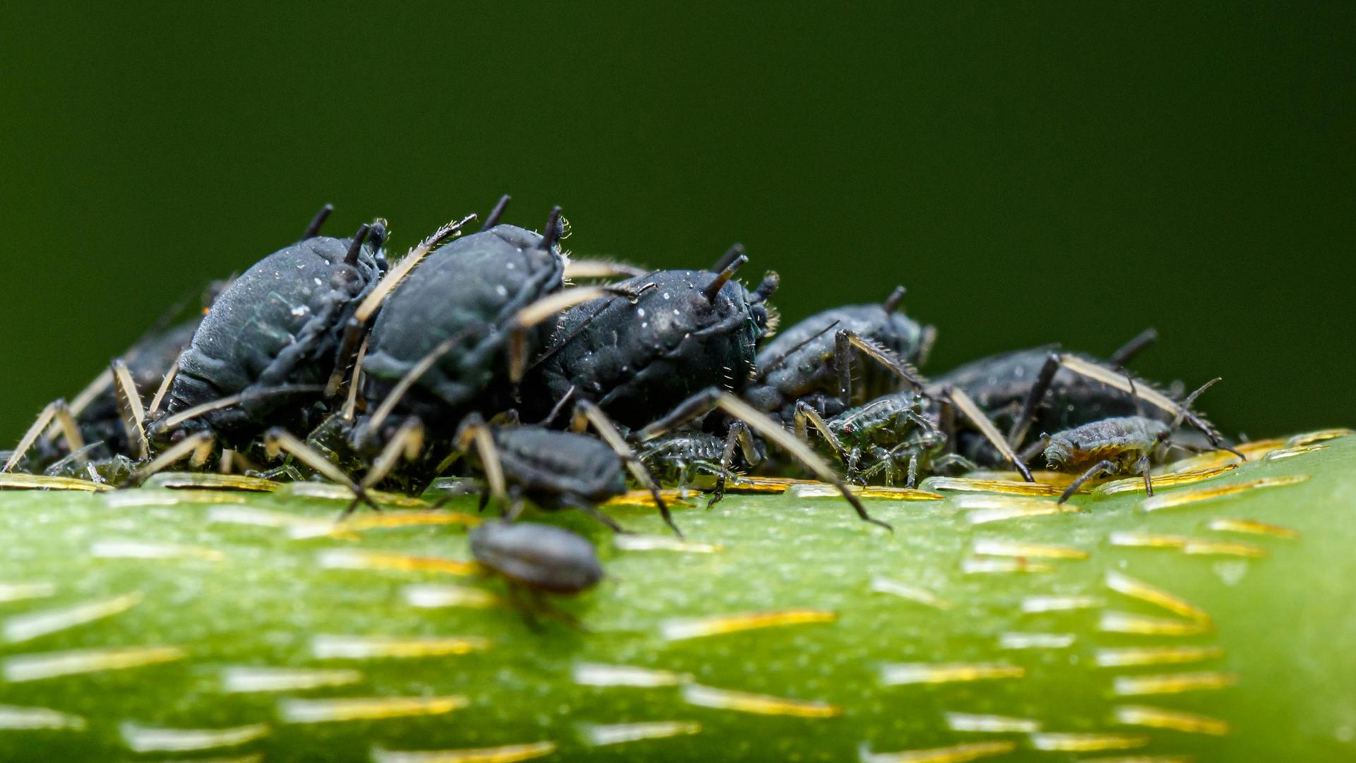 Фото: pexels.com
