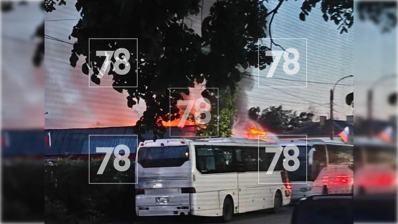 Фото: 78.ru