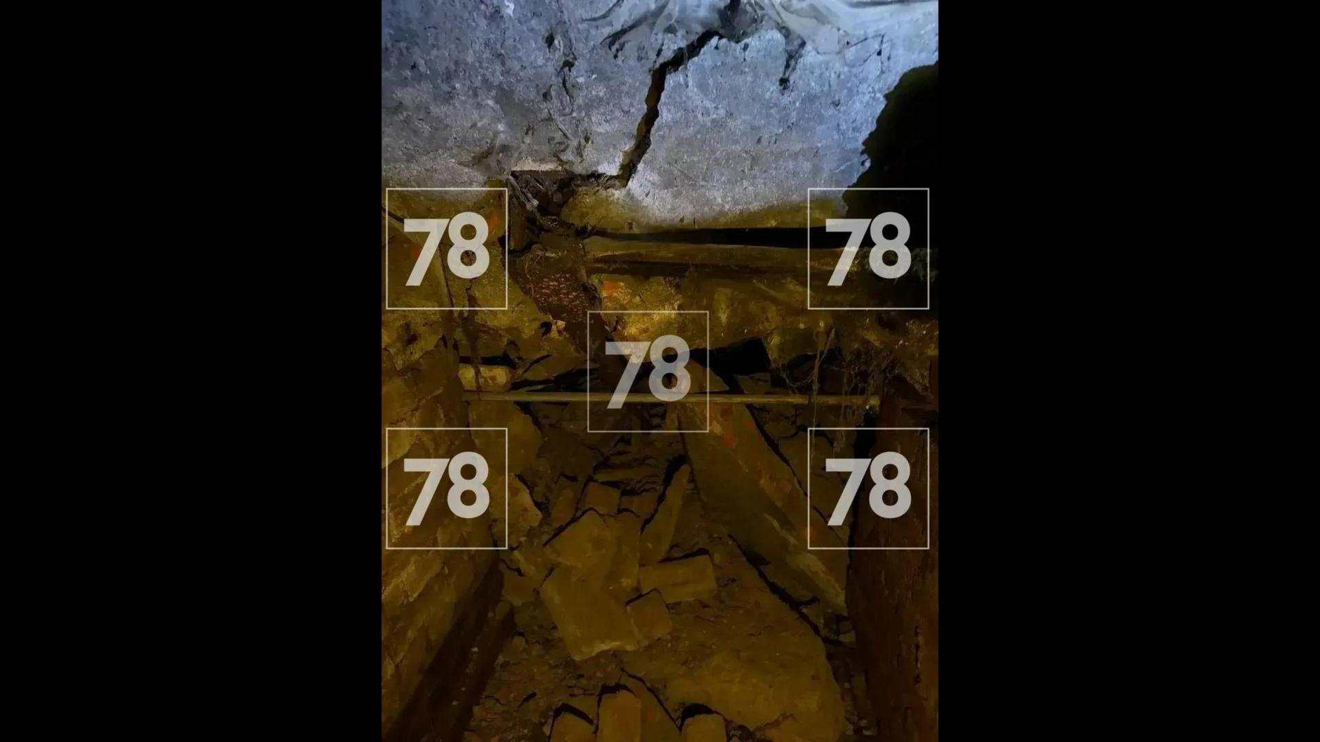 Фото: 78.ru
