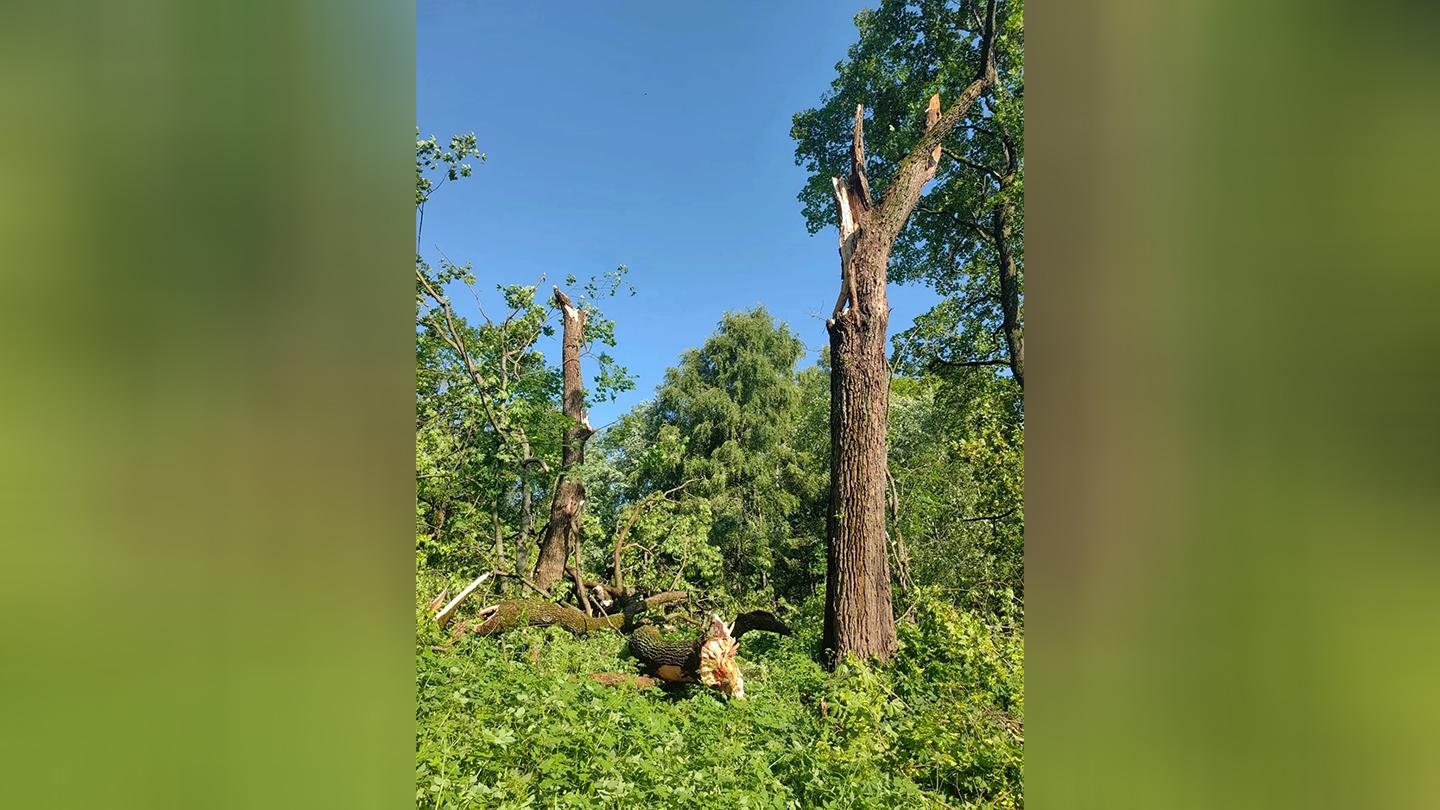 #