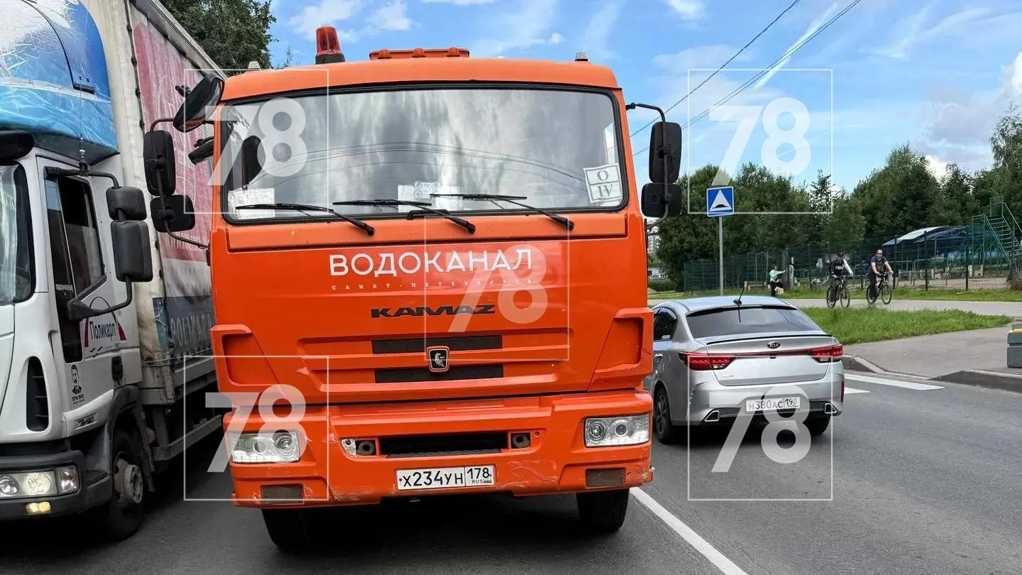 Фото: 78.ru