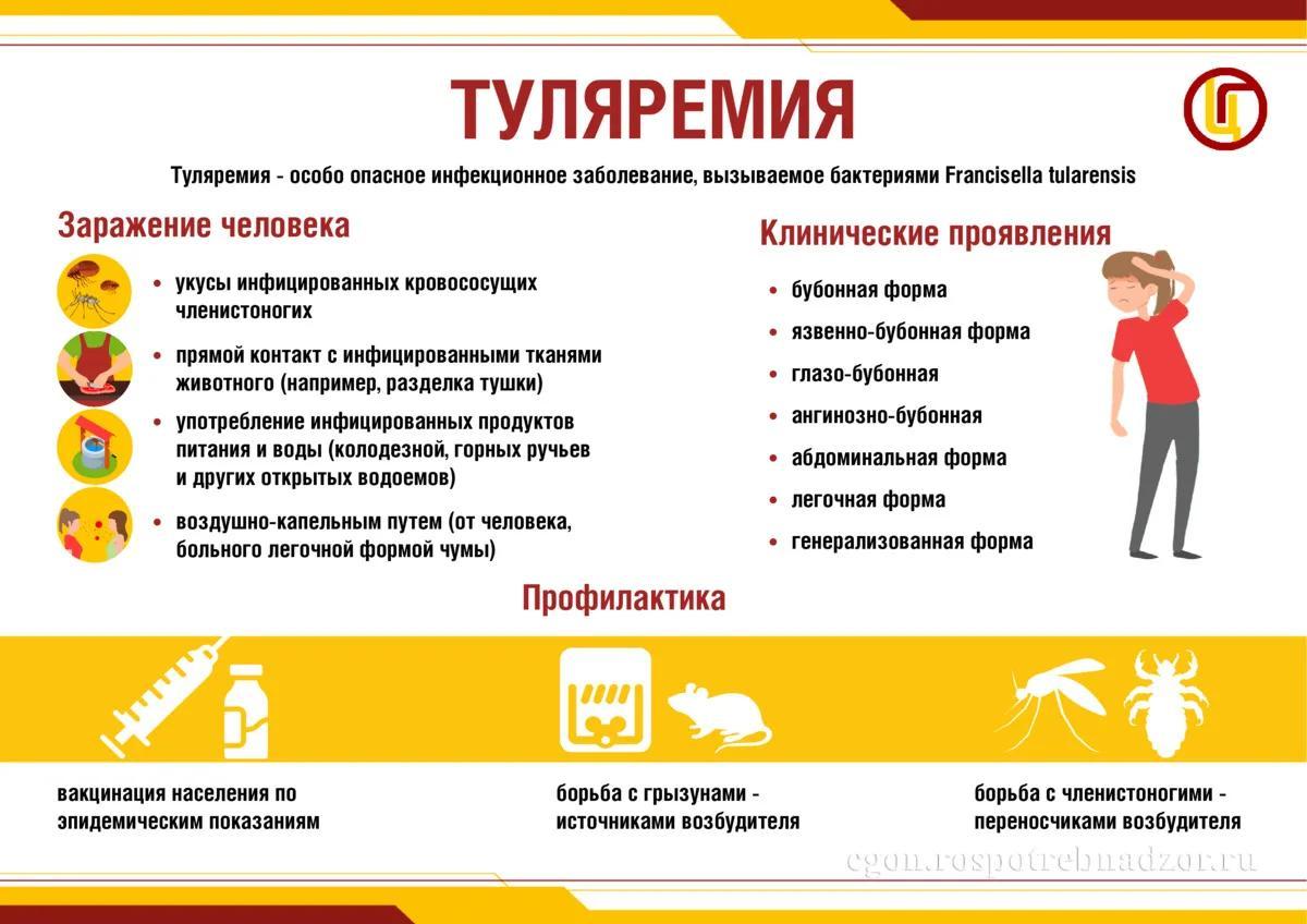 Фото: пресс-служба Роспотребнадзора по Петербургу и Ленобласти