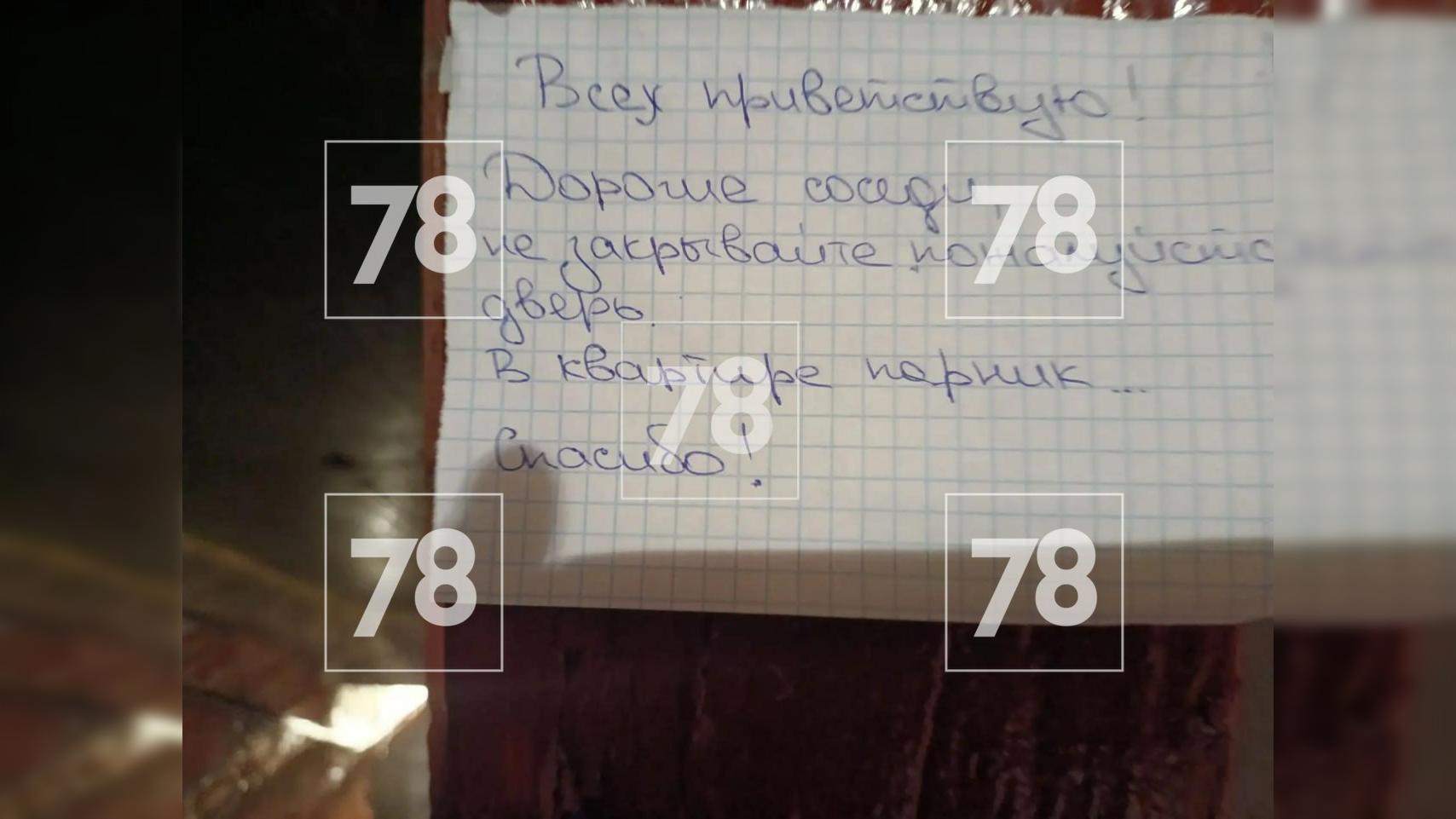 Фото: 78.ru