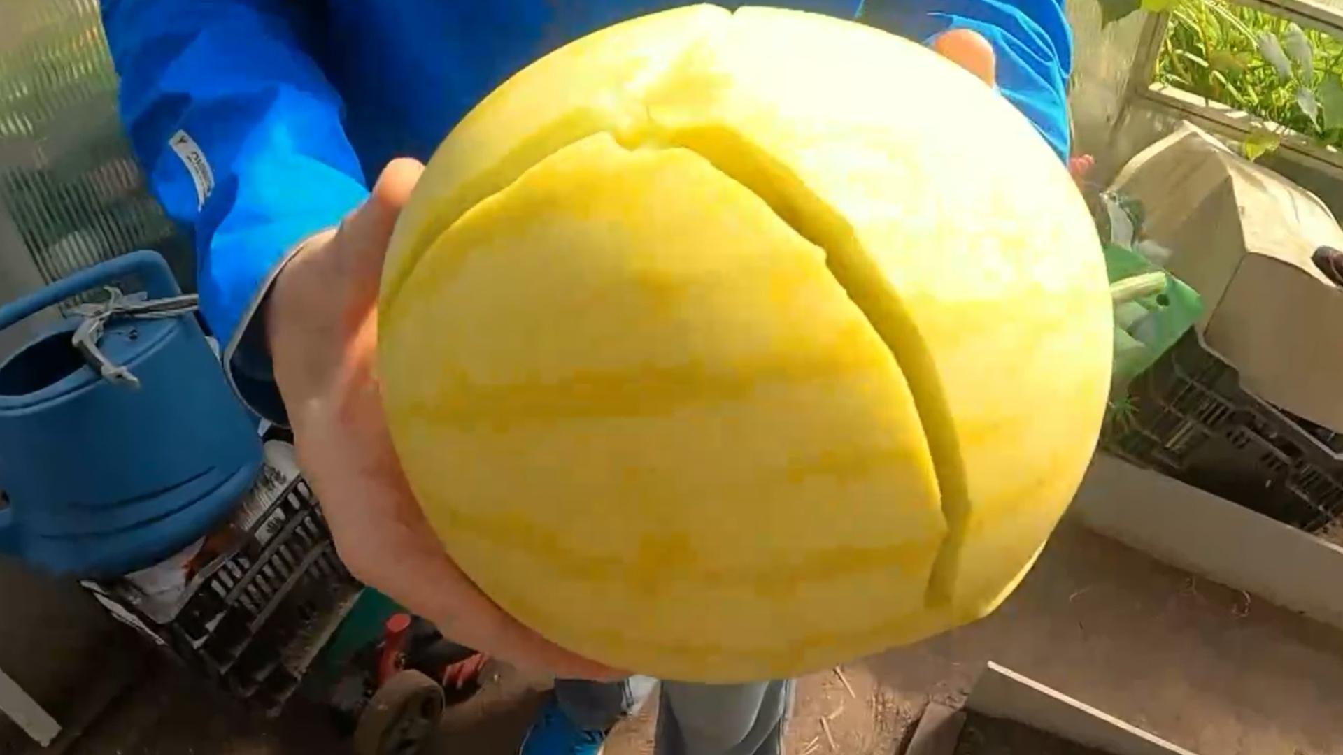 #
