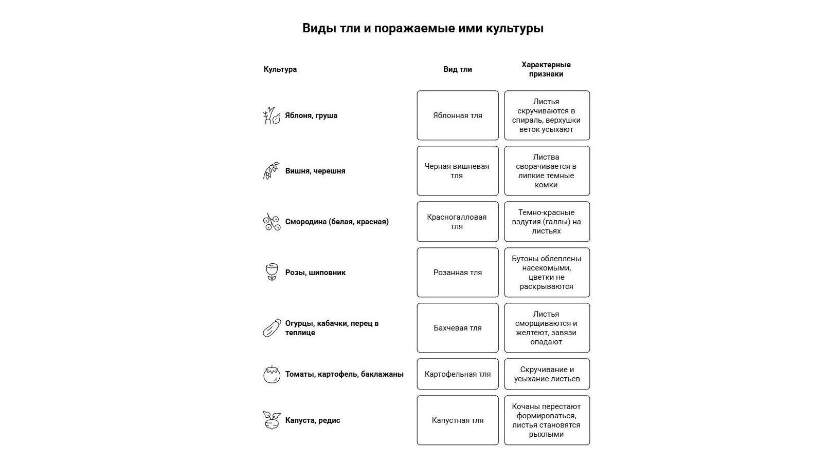 Фото: 78.ru