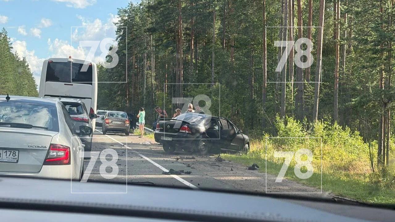 Фото: 78.ru