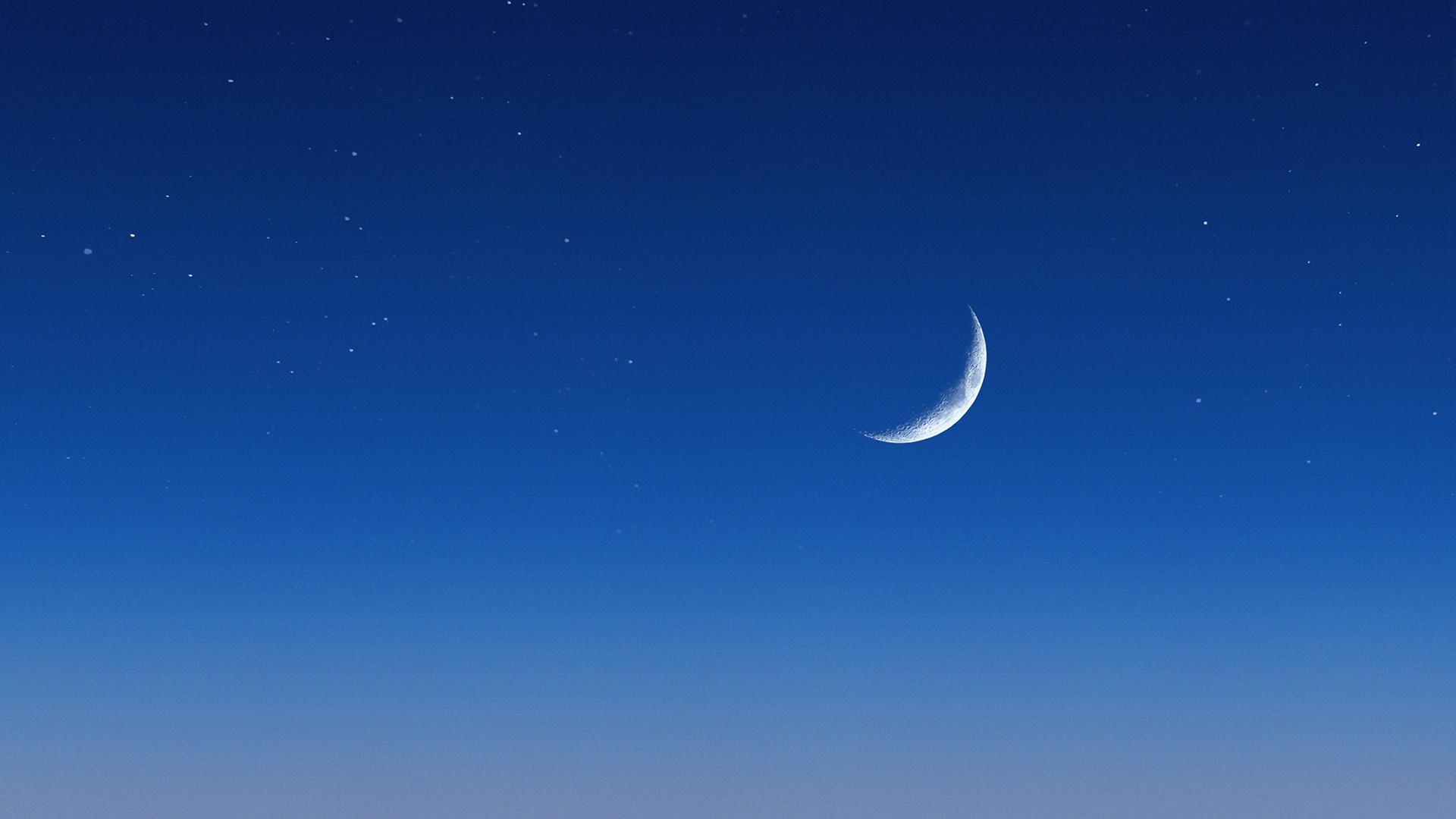 Фото: pexels.com