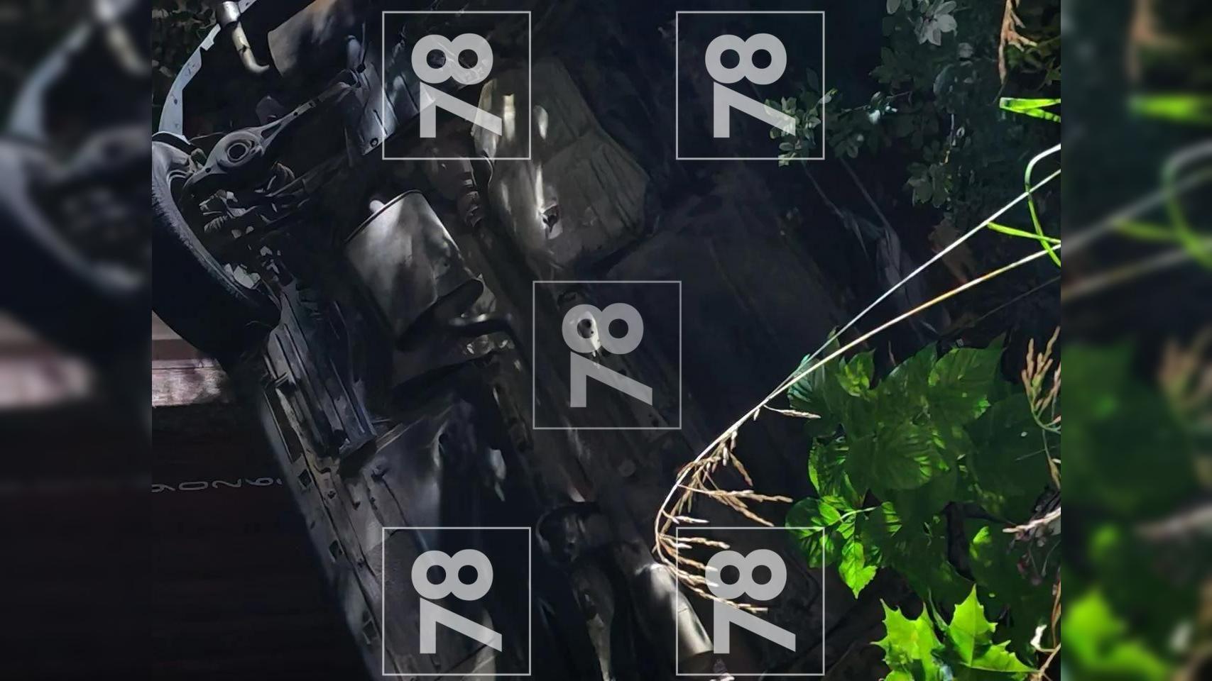 Фото: 78.ru