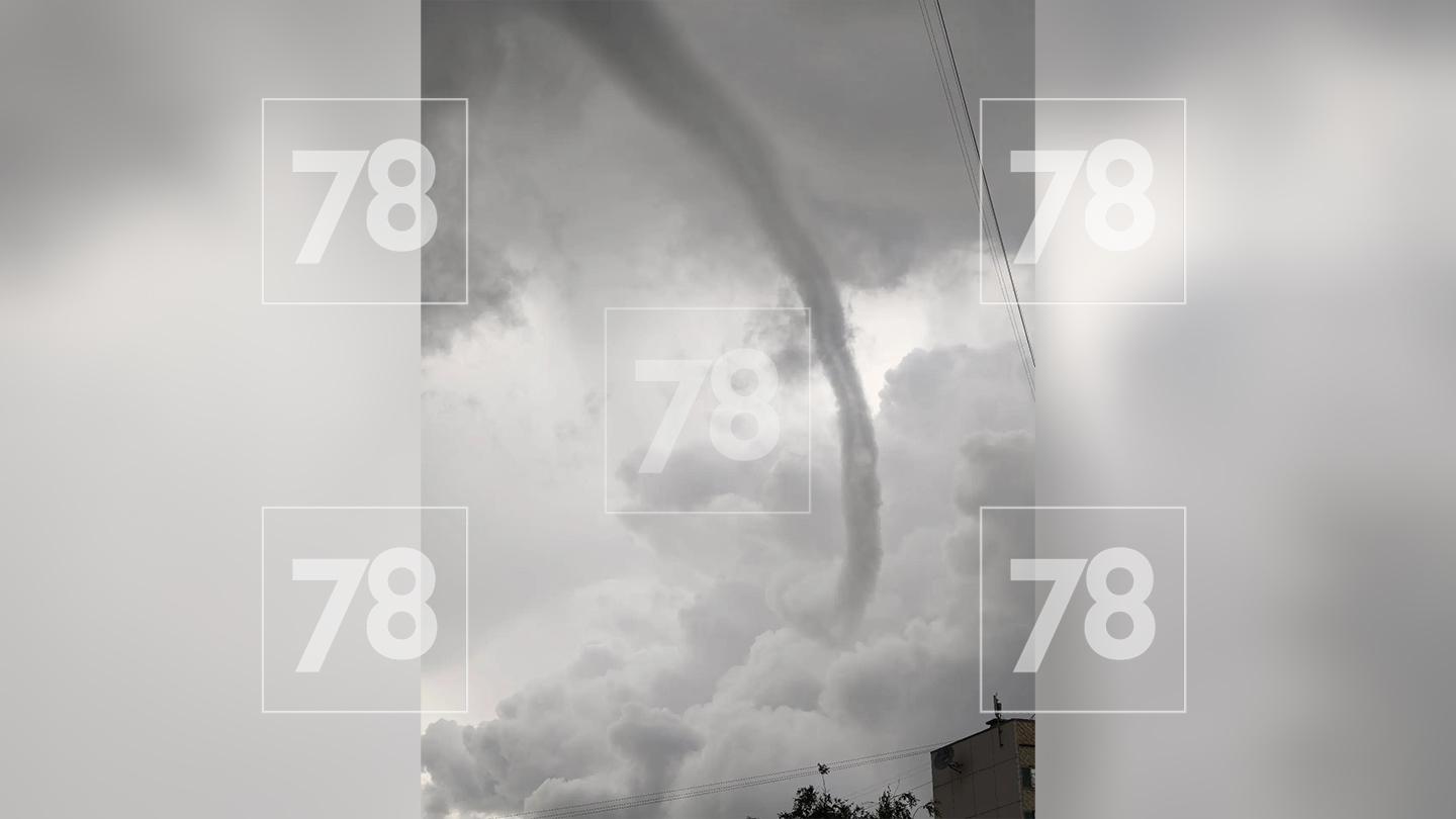 Фото: 78.ru