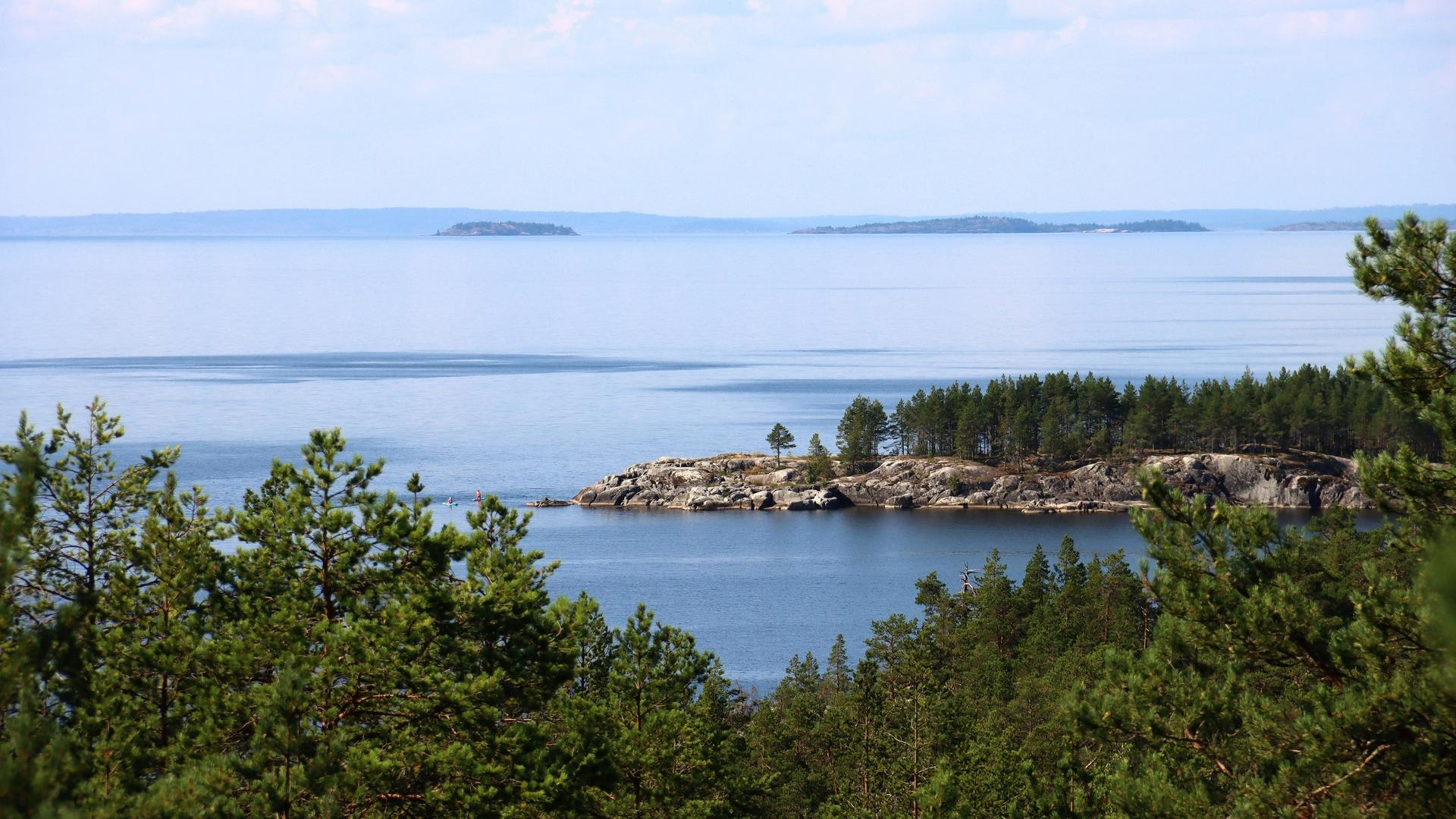 Фото: vk.ru/ladoga_skerry