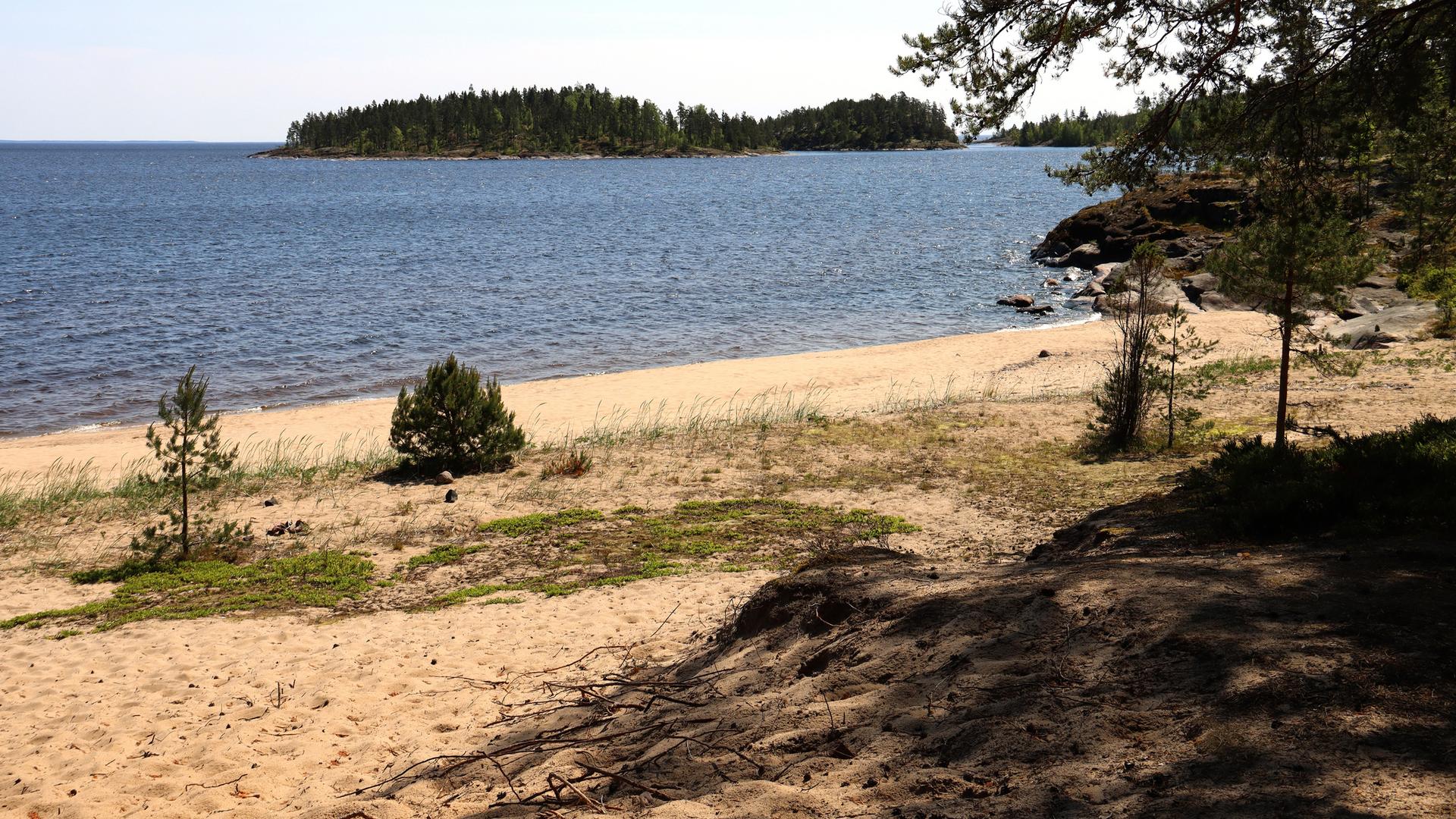 Фото: vk.ru/ladoga_skerry
