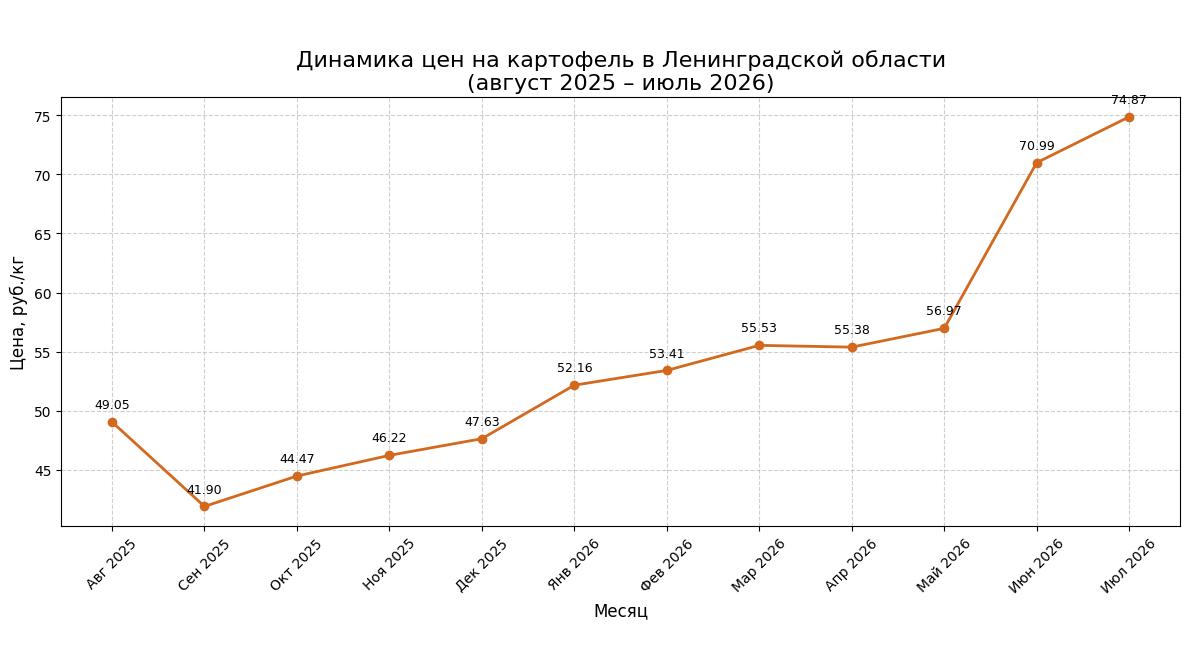 Фото: 78.ru