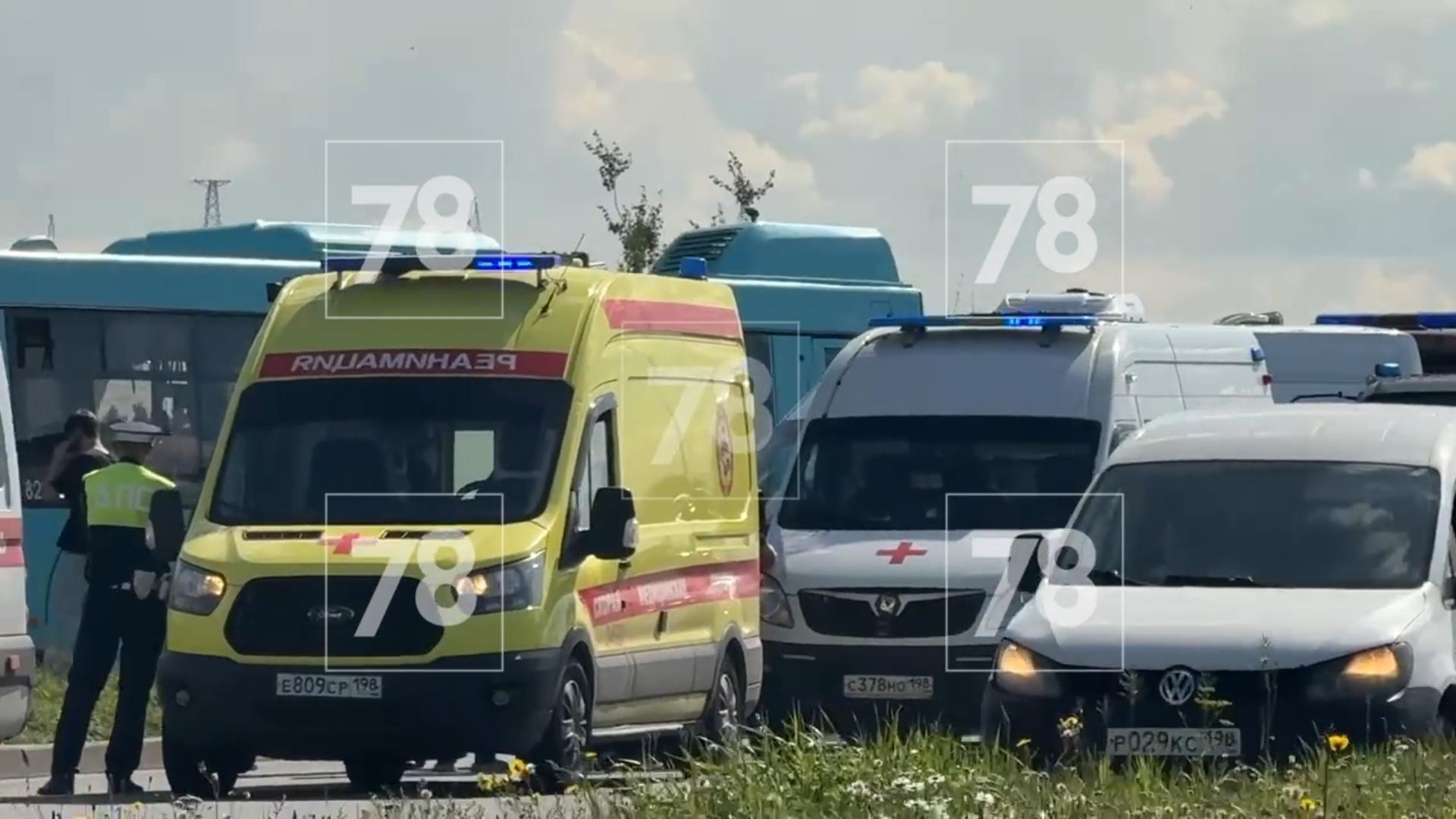 Фото: 78.ru