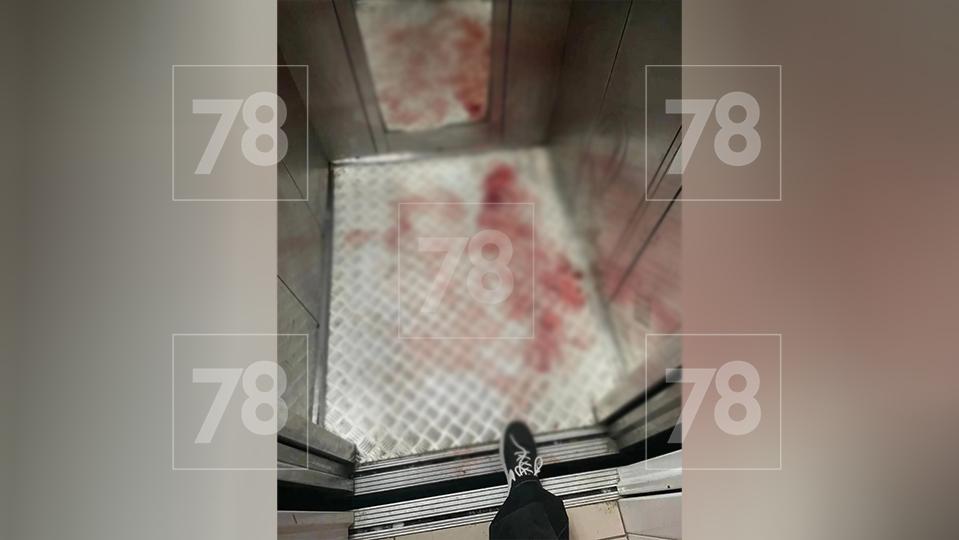 Фото: 78.ru