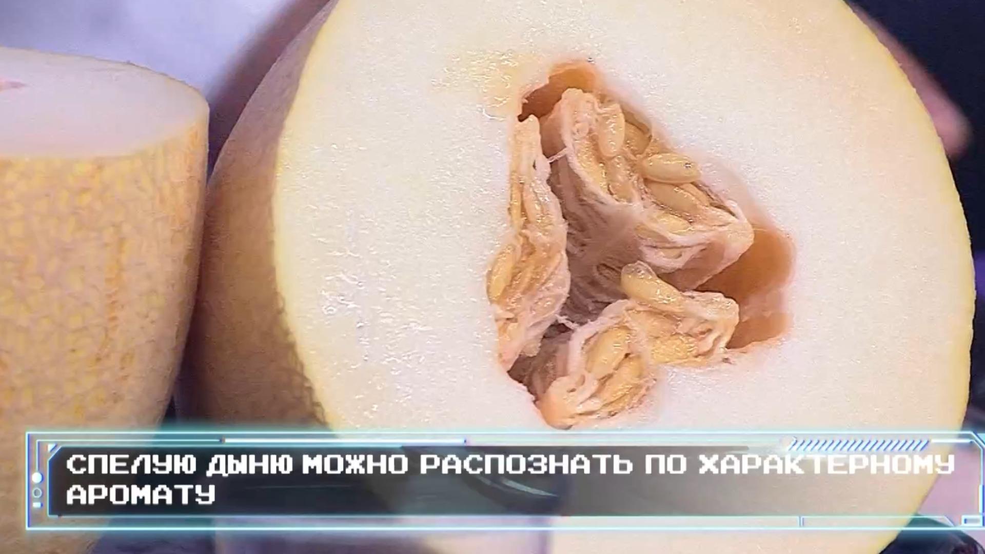Фото: 78.ru