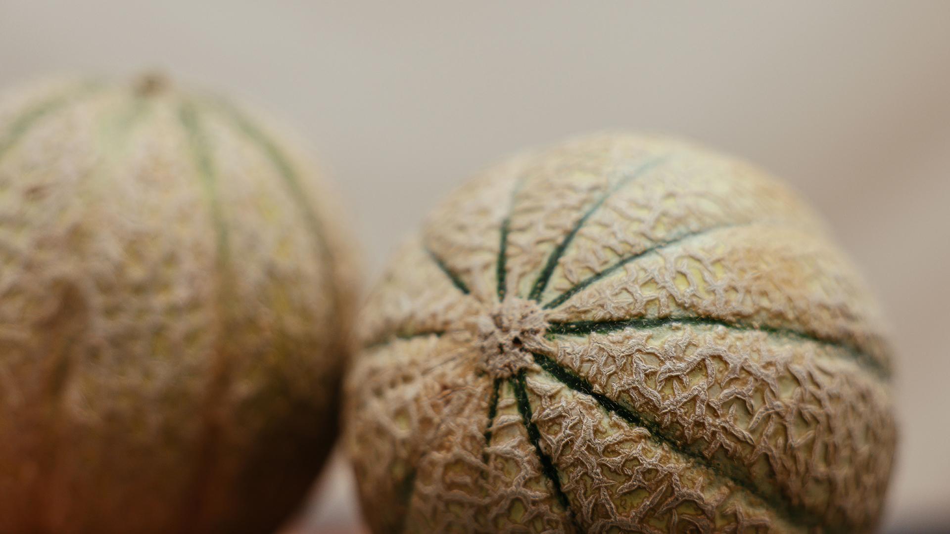 Фото: pexels.com