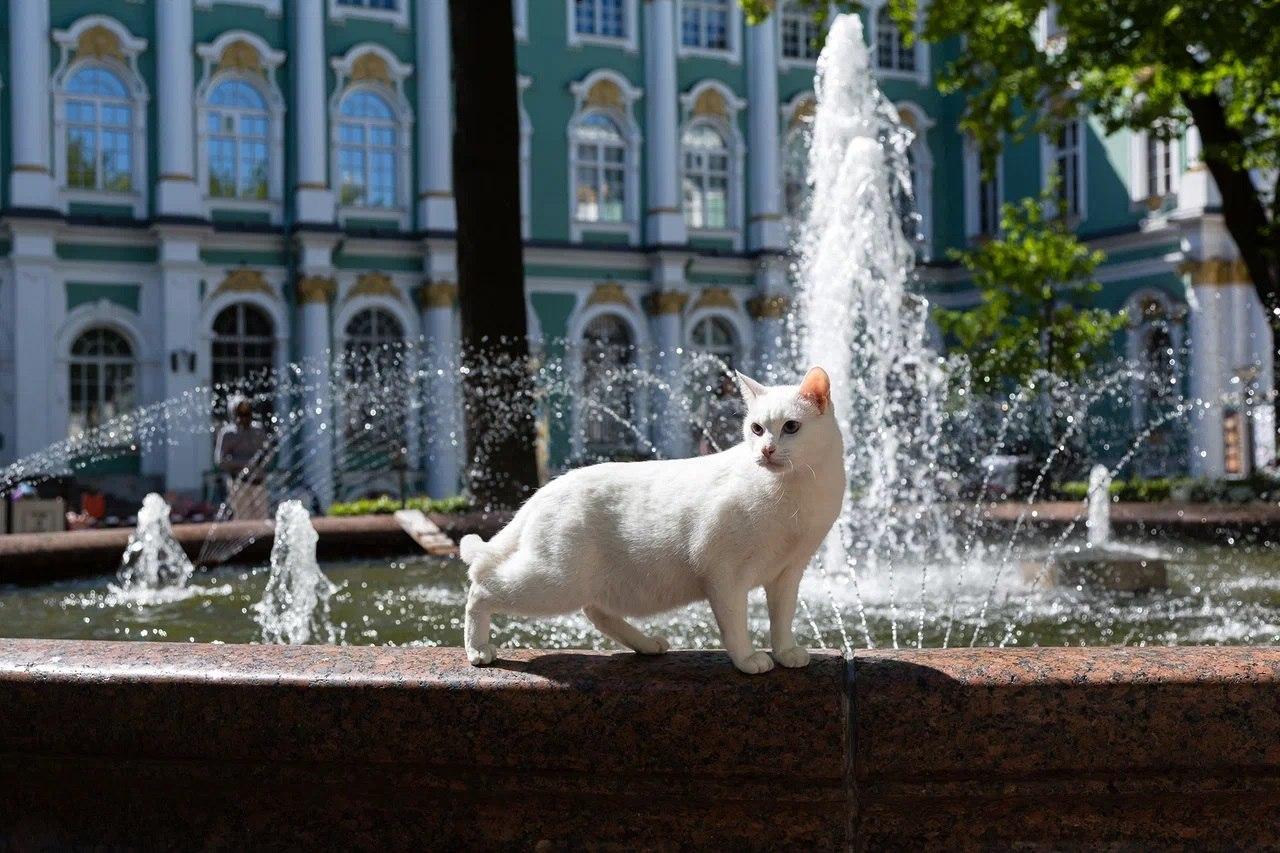 Фото: t.me/hermitage_museum