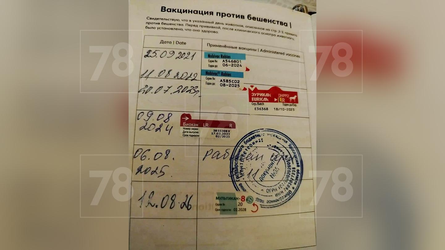 Фото: 78.ru
