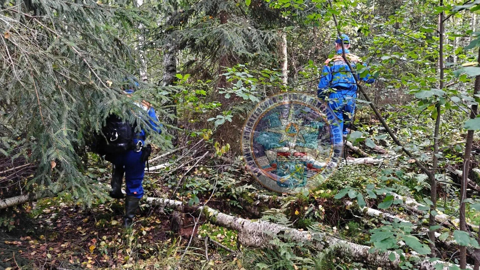 Фото: Аварийно-спасательная служба Ленобласти