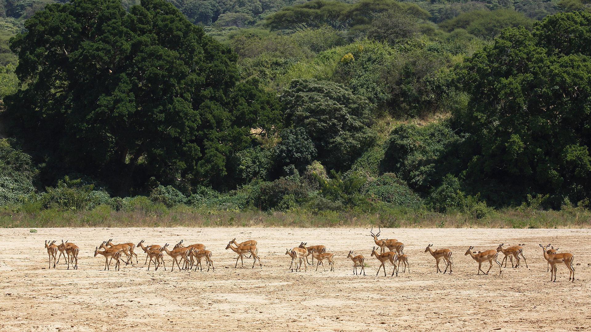 Фото: Justus de Cuveland/globallookpress.com