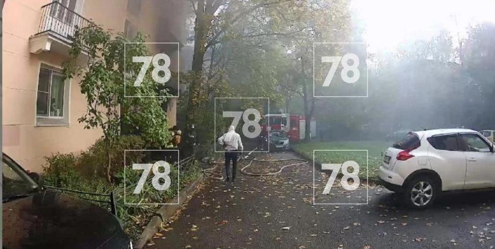 Фото: 78.ru