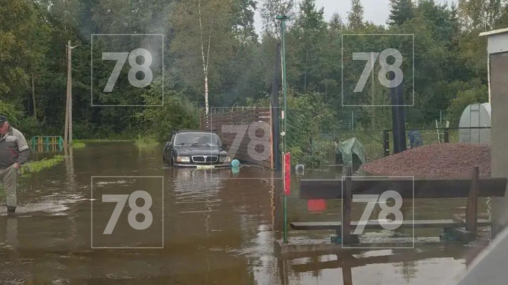 Фото: 78.ru